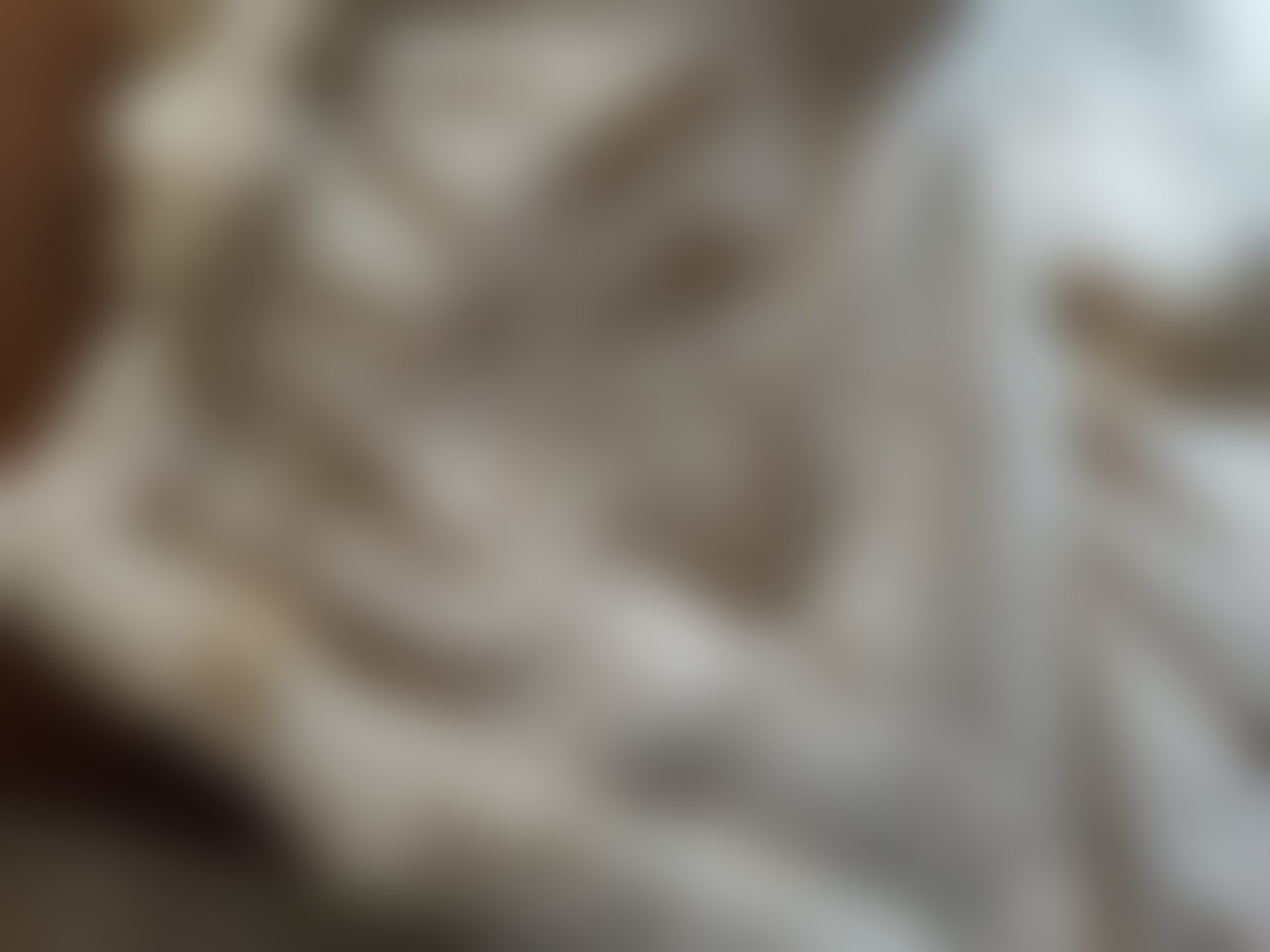 Eingereichtes Pelzstück – Beispiel 36.4 Bild 4