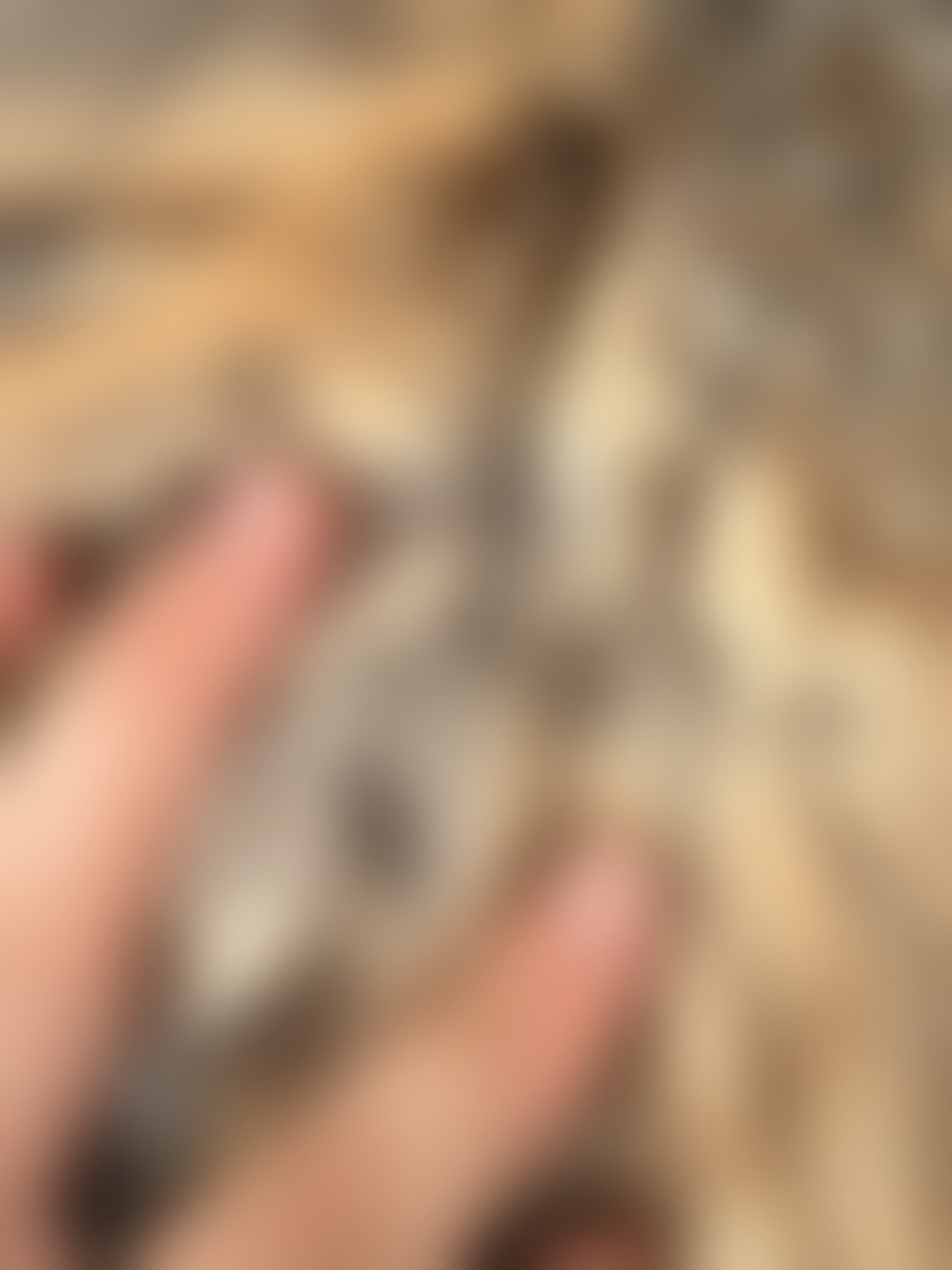 Eingereichtes Pelzstück – Beispiel 258 Bild 1