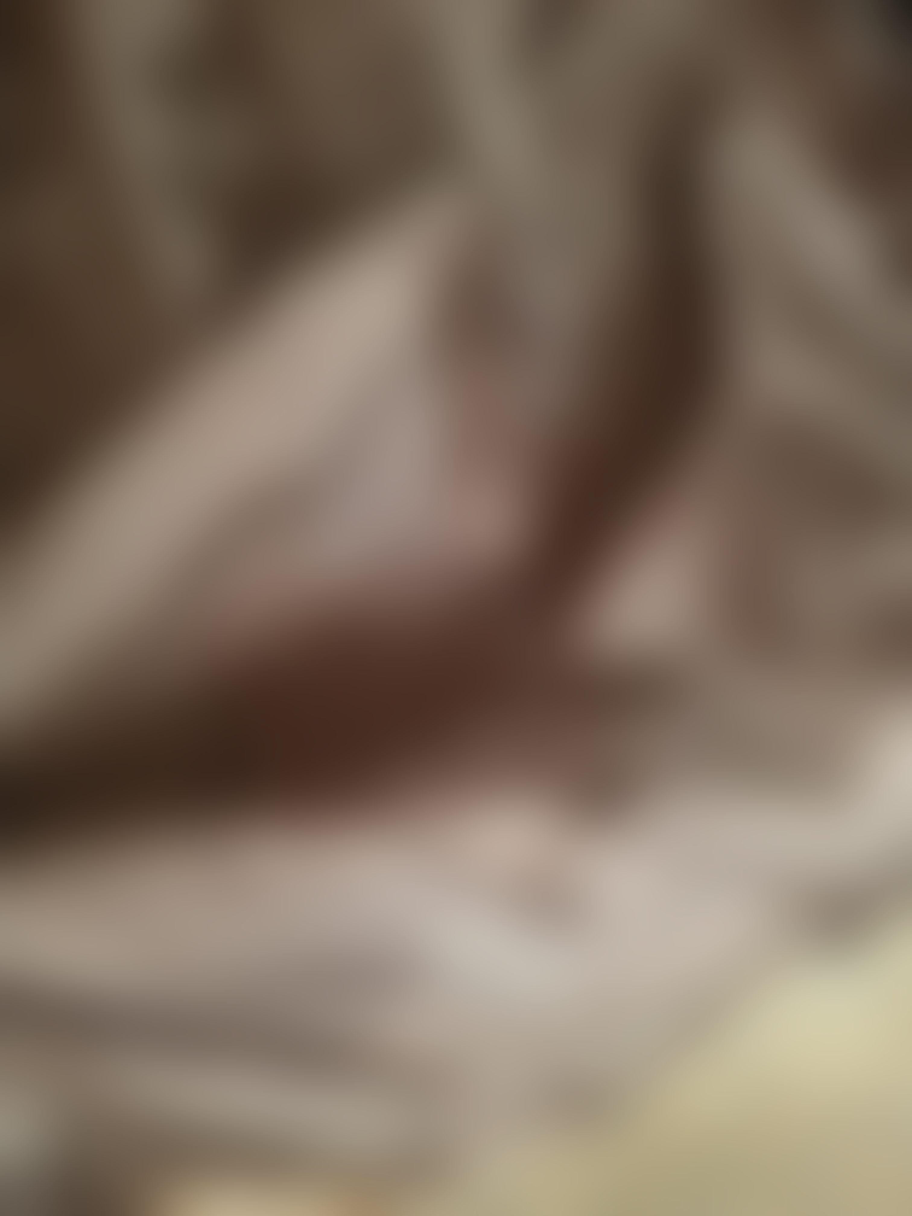 Eingereichtes Pelzstück – Beispiel 41.1 Bild 4