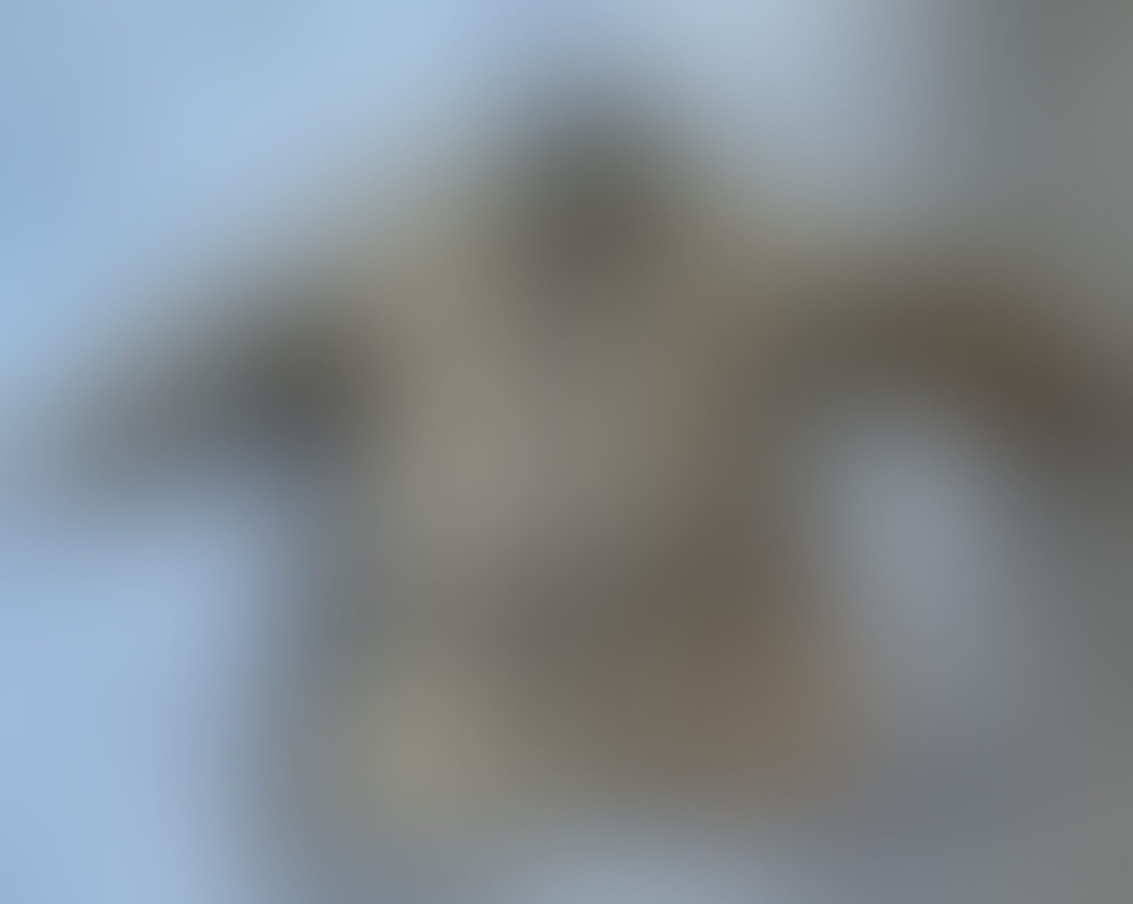 Eingereichtes Pelzstück – Beispiel 257 Bild 4