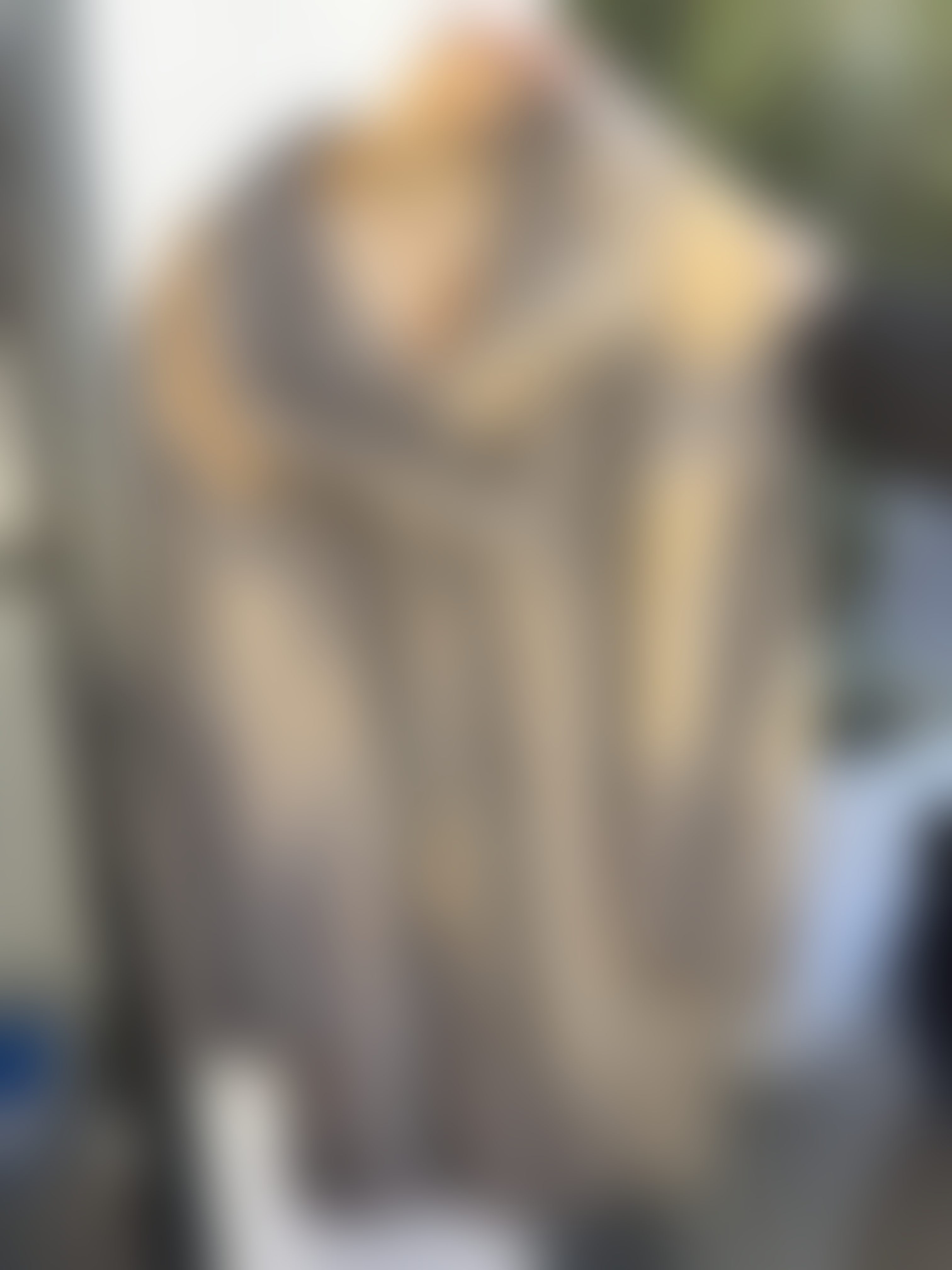 Eingereichtes Pelzstück – Beispiel 3 Bild 1