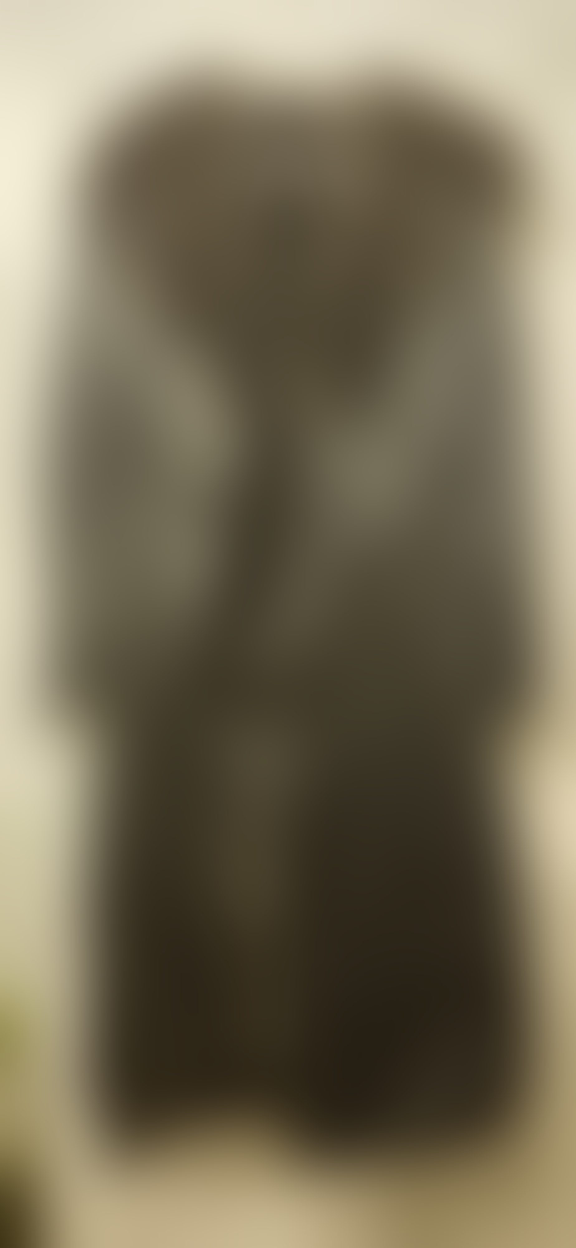 Eingereichtes Pelzstück – Beispiel 1 Bild 2