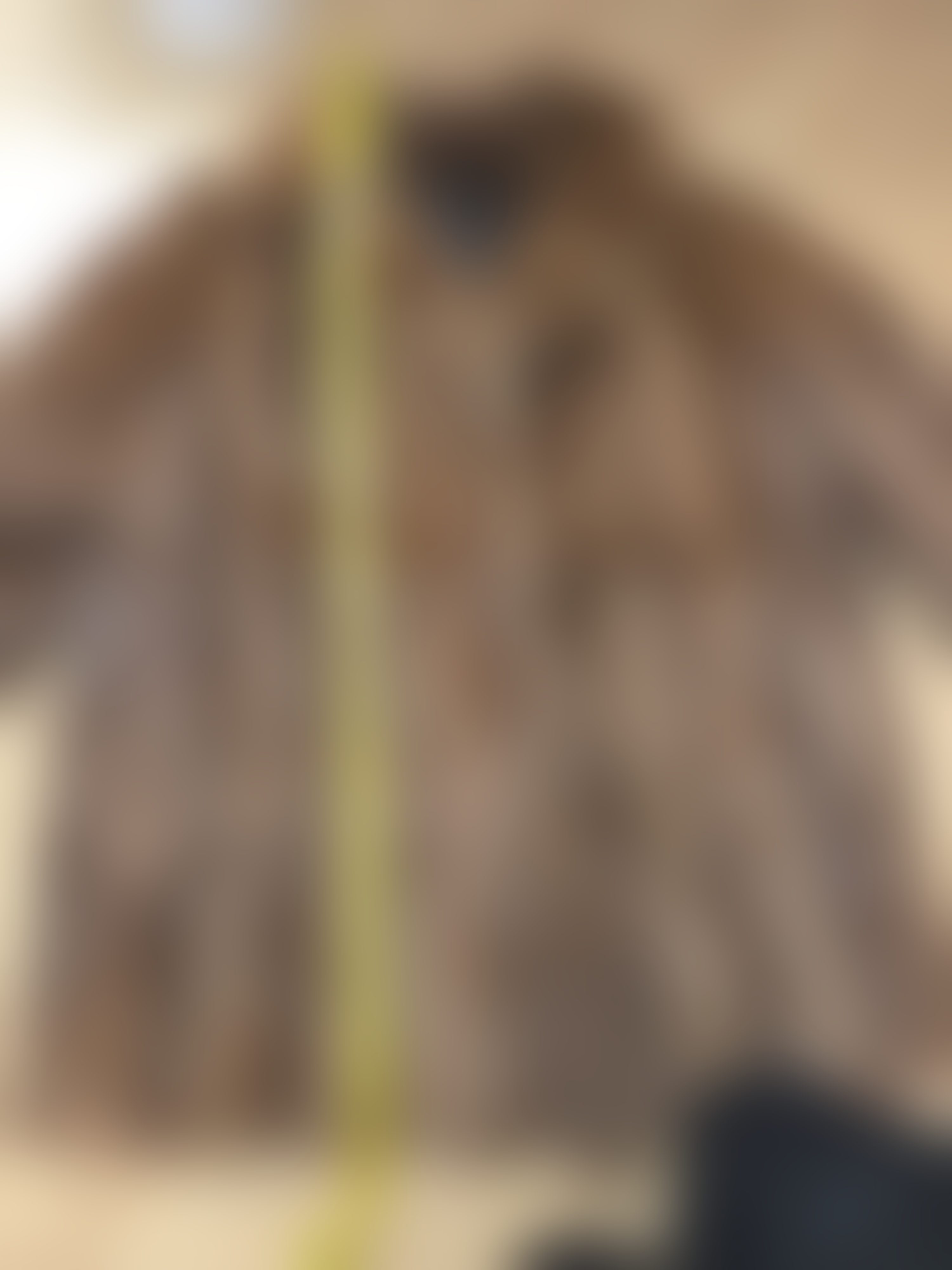 Eingereichtes Pelzstück – Beispiel 1 Bild 3