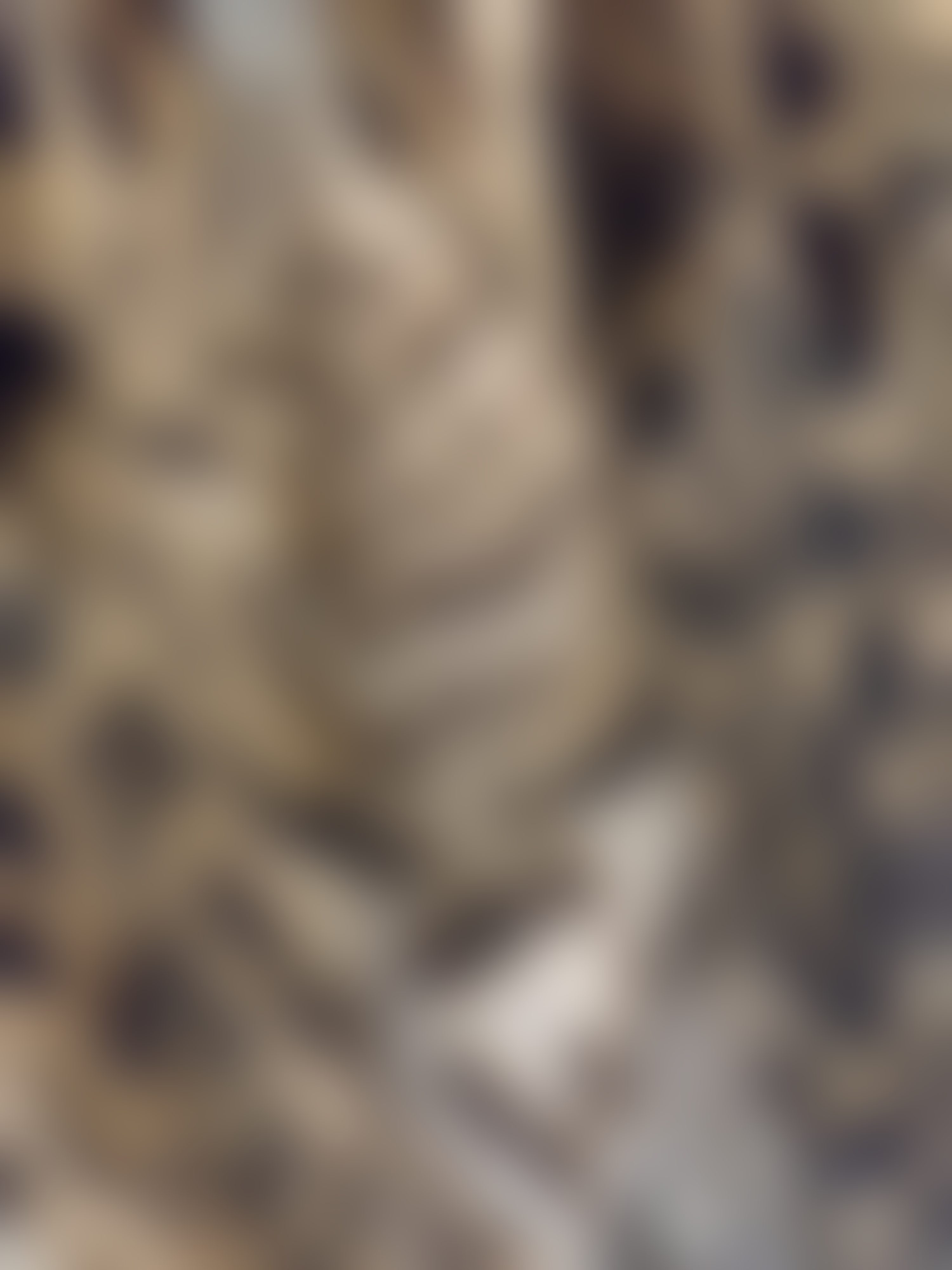 Eingereichtes Pelzstück – Beispiel 36.1 Bild 1