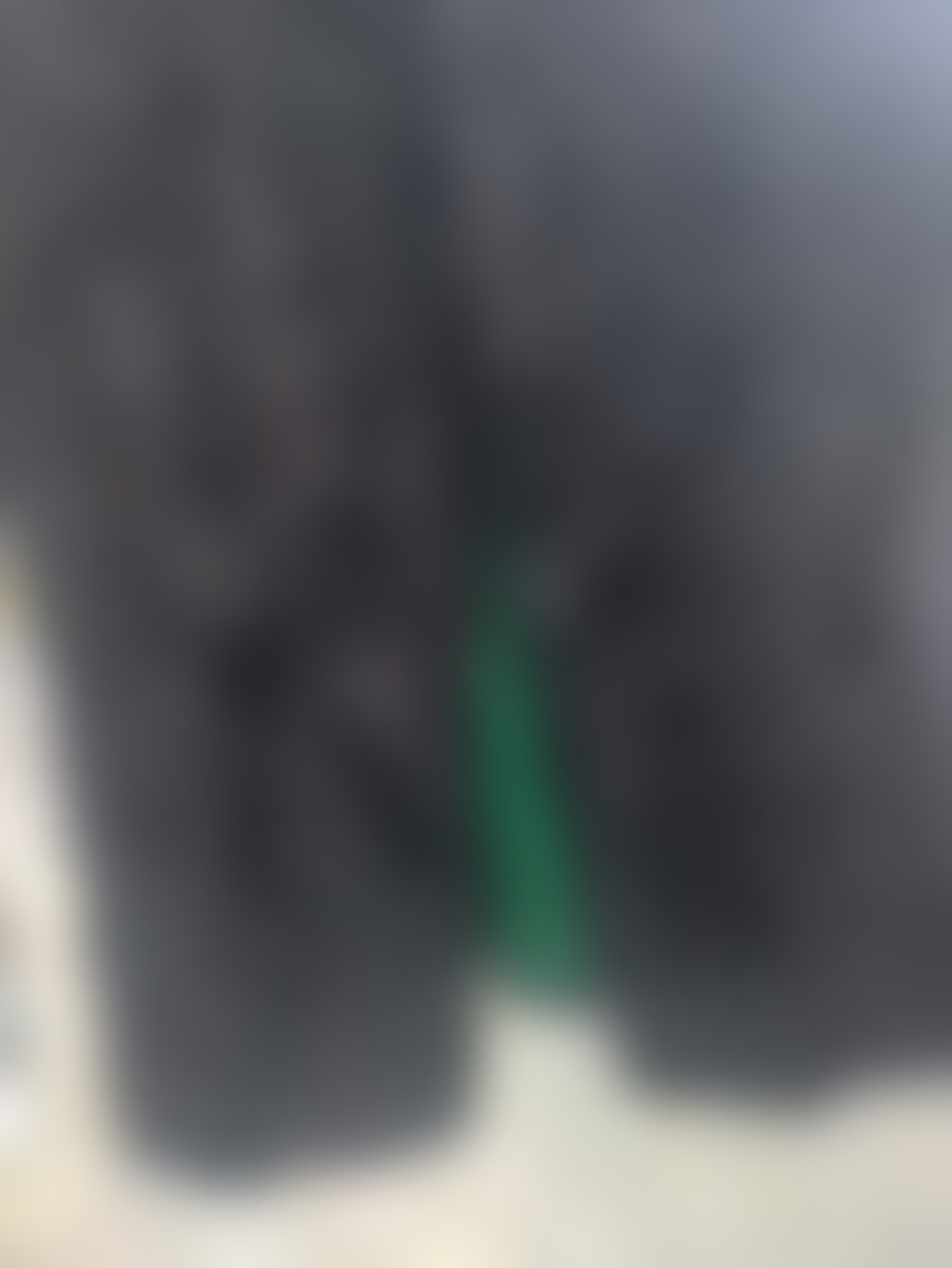 Eingereichtes Pelzstück – Beispiel 34 Bild 2