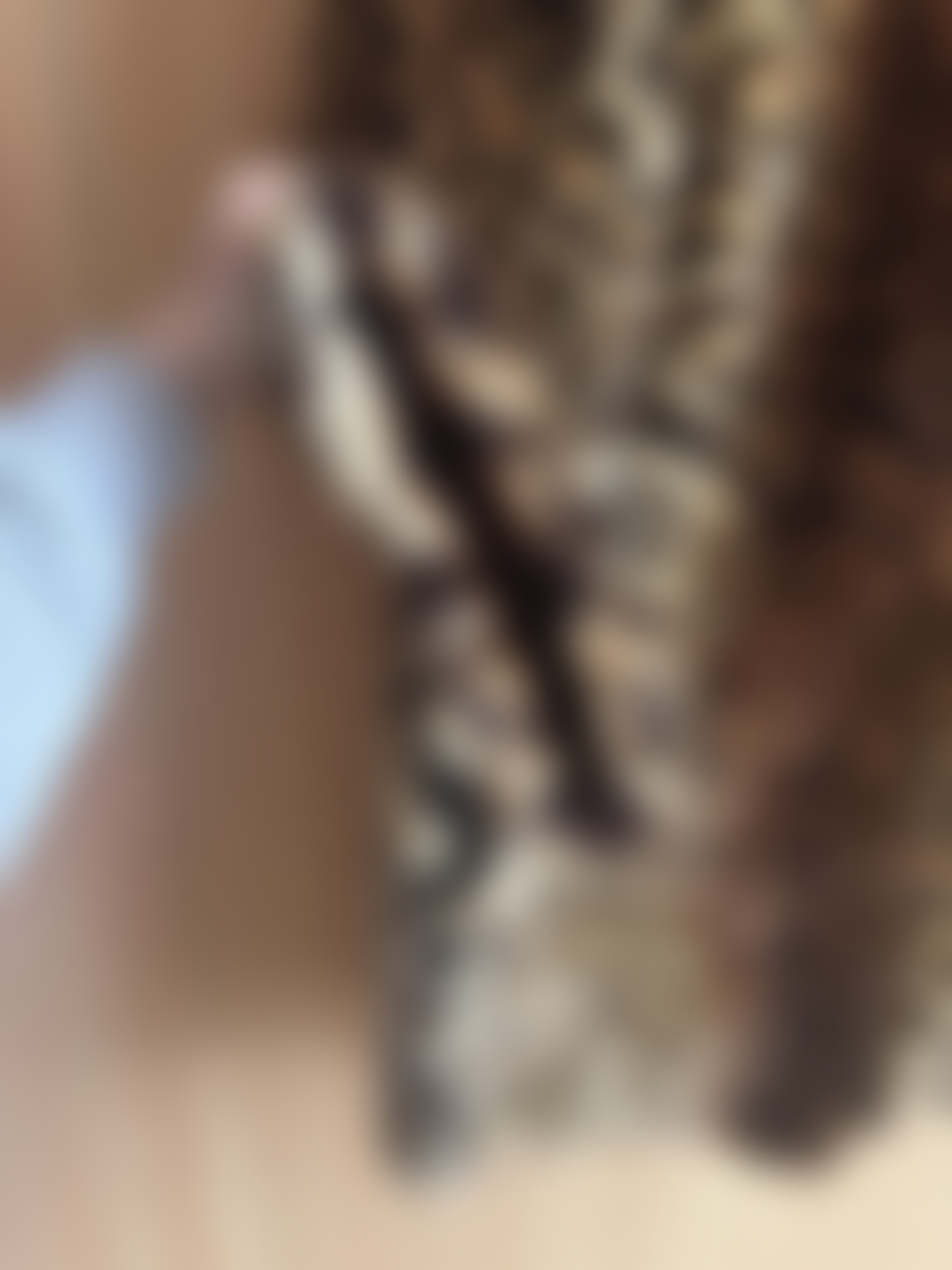 Eingereichtes Pelzstück – Beispiel 21.1 Bild 4