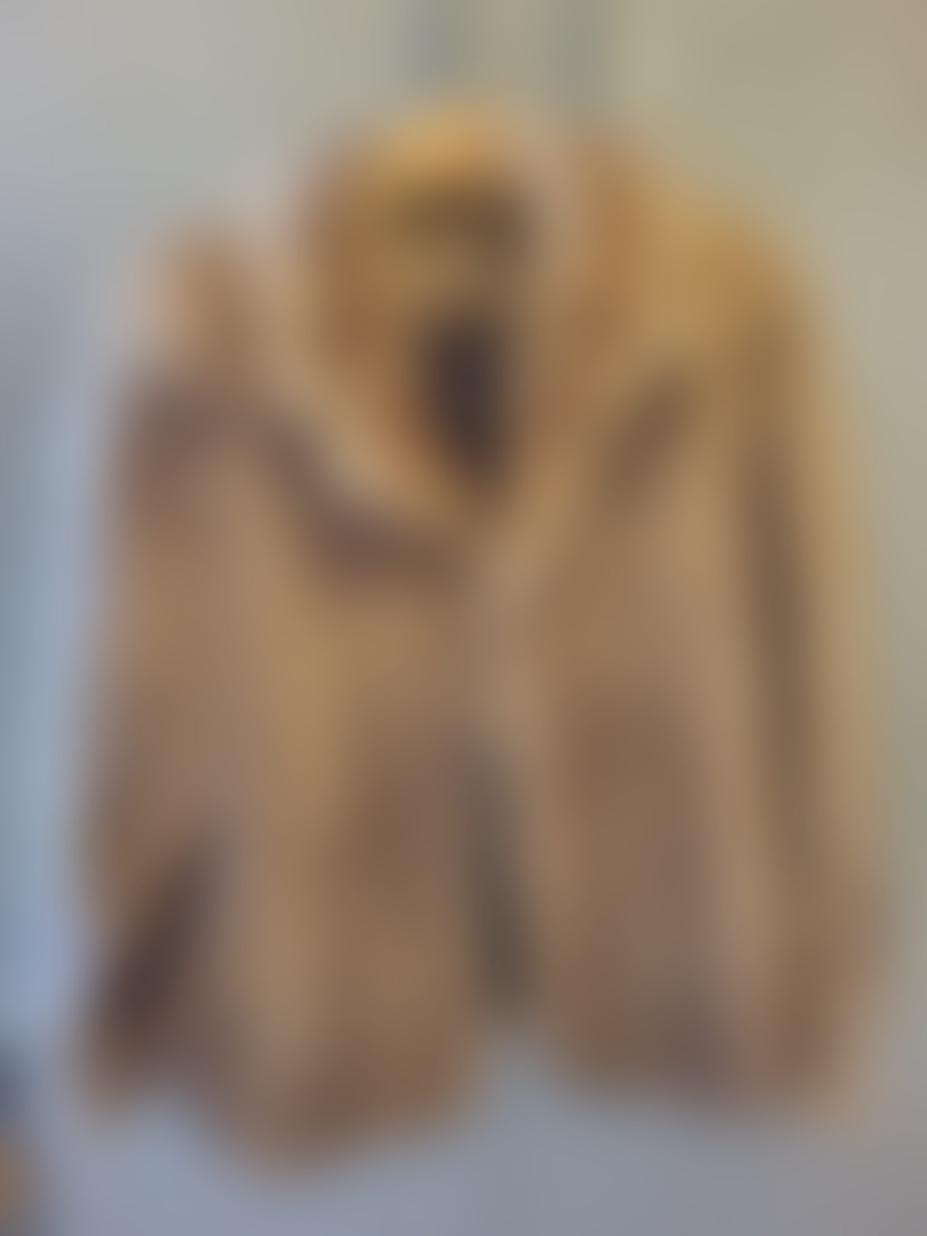 Eingereichtes Pelzstück – Beispiel 1 Bild 3