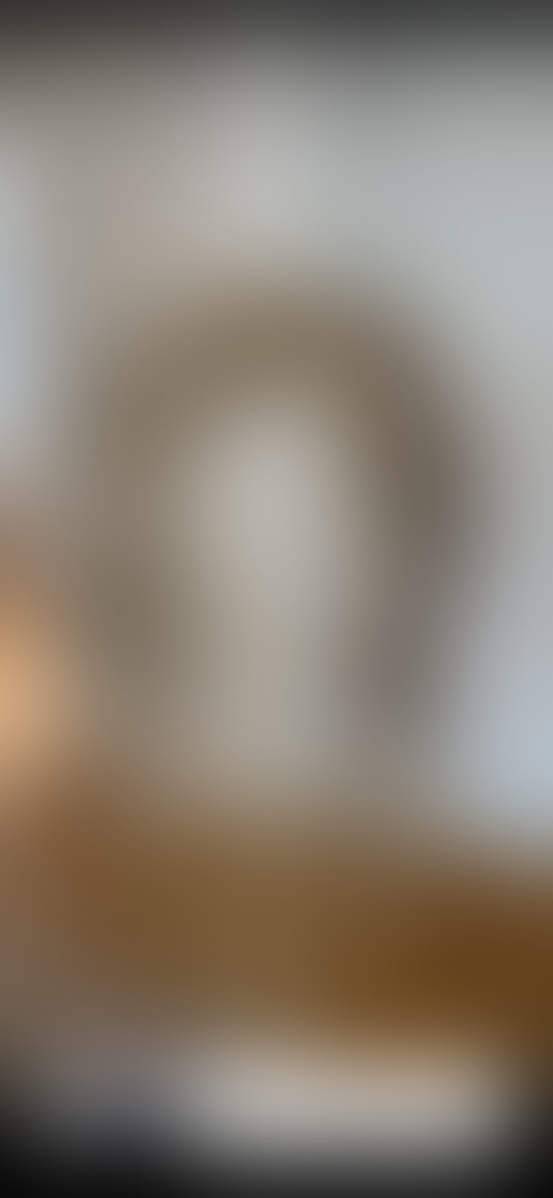 Eingereichtes Pelzstück – Beispiel 35 Bild 2