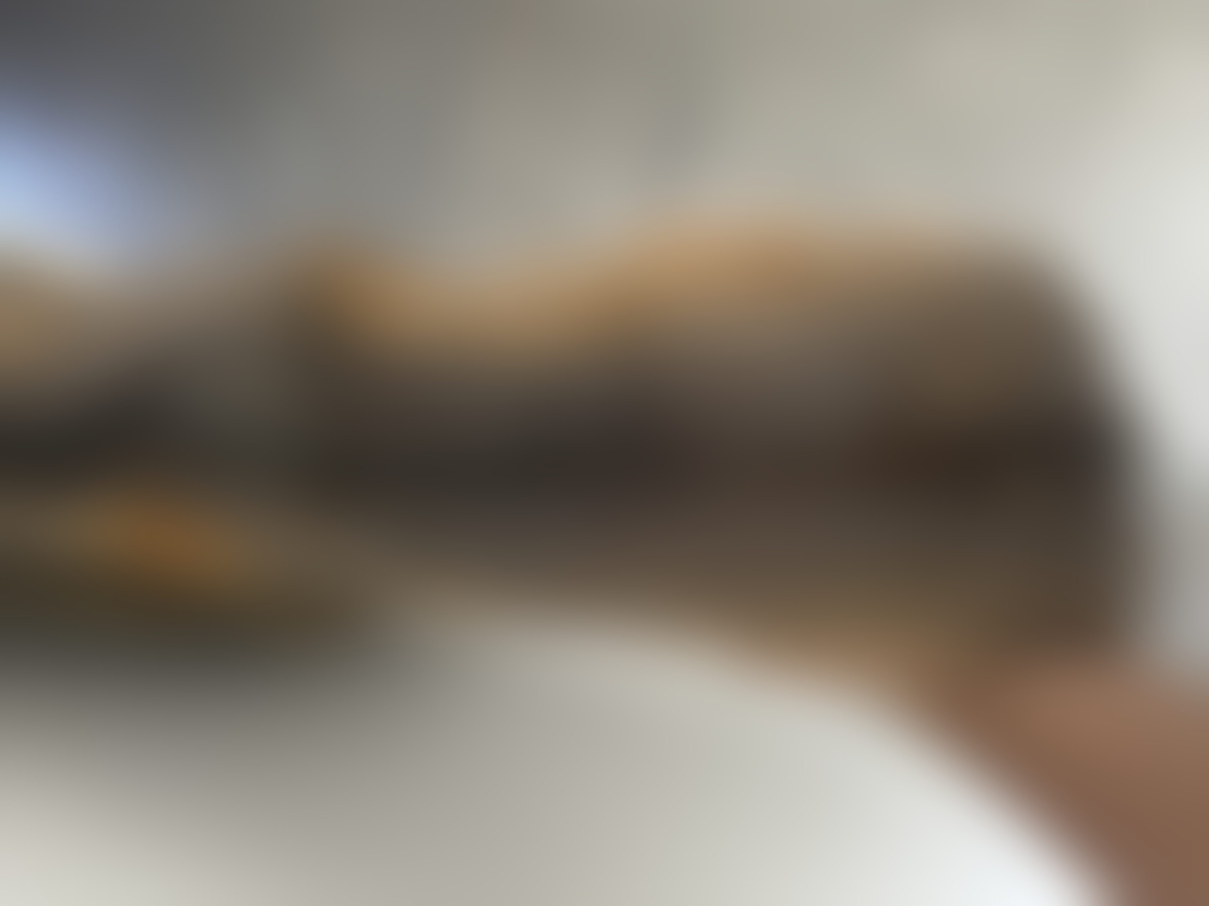 Eingereichtes Pelzstück – Beispiel 256 Bild 6