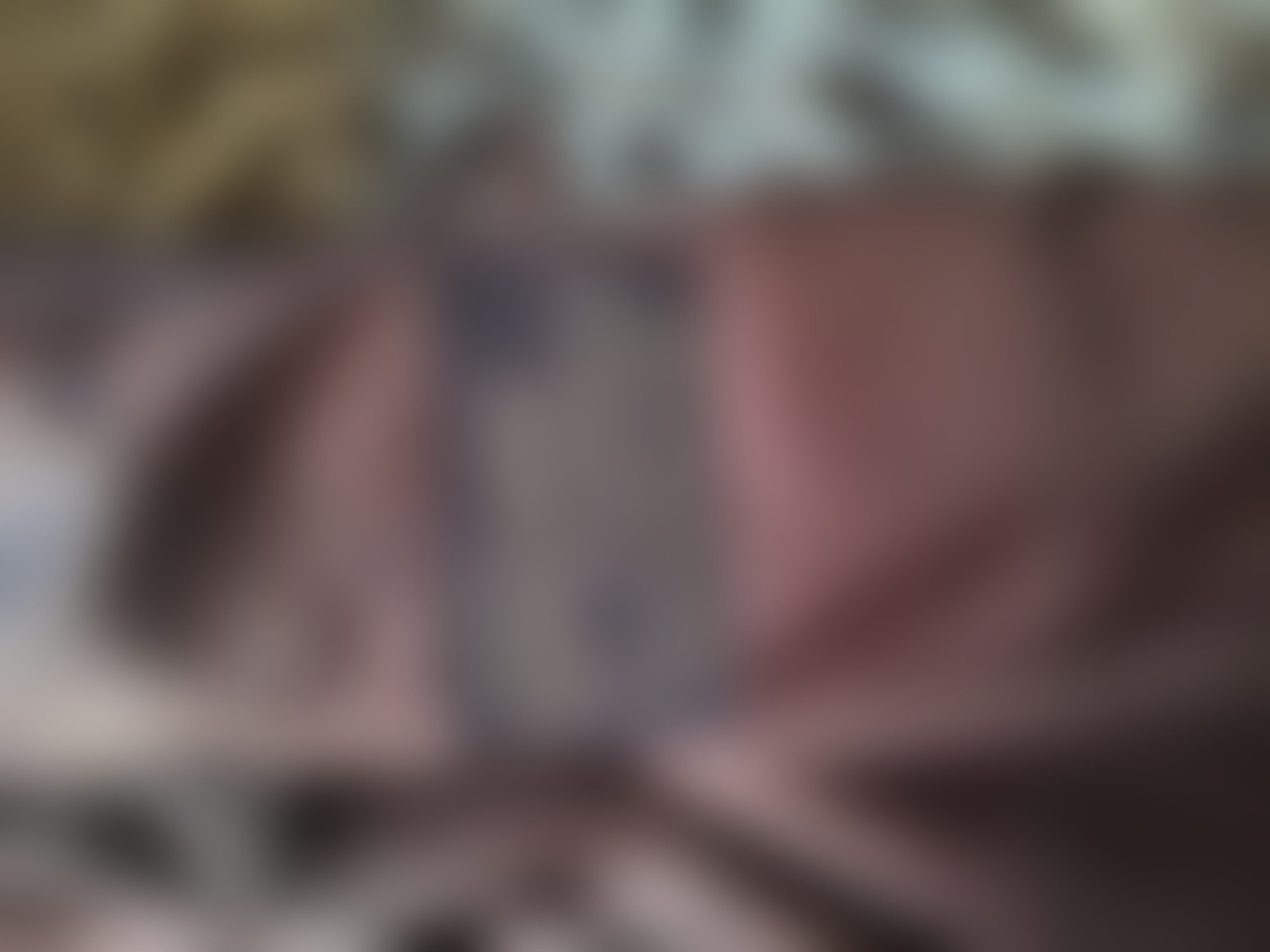 Eingereichtes Pelzstück – Beispiel 59 Bild 5