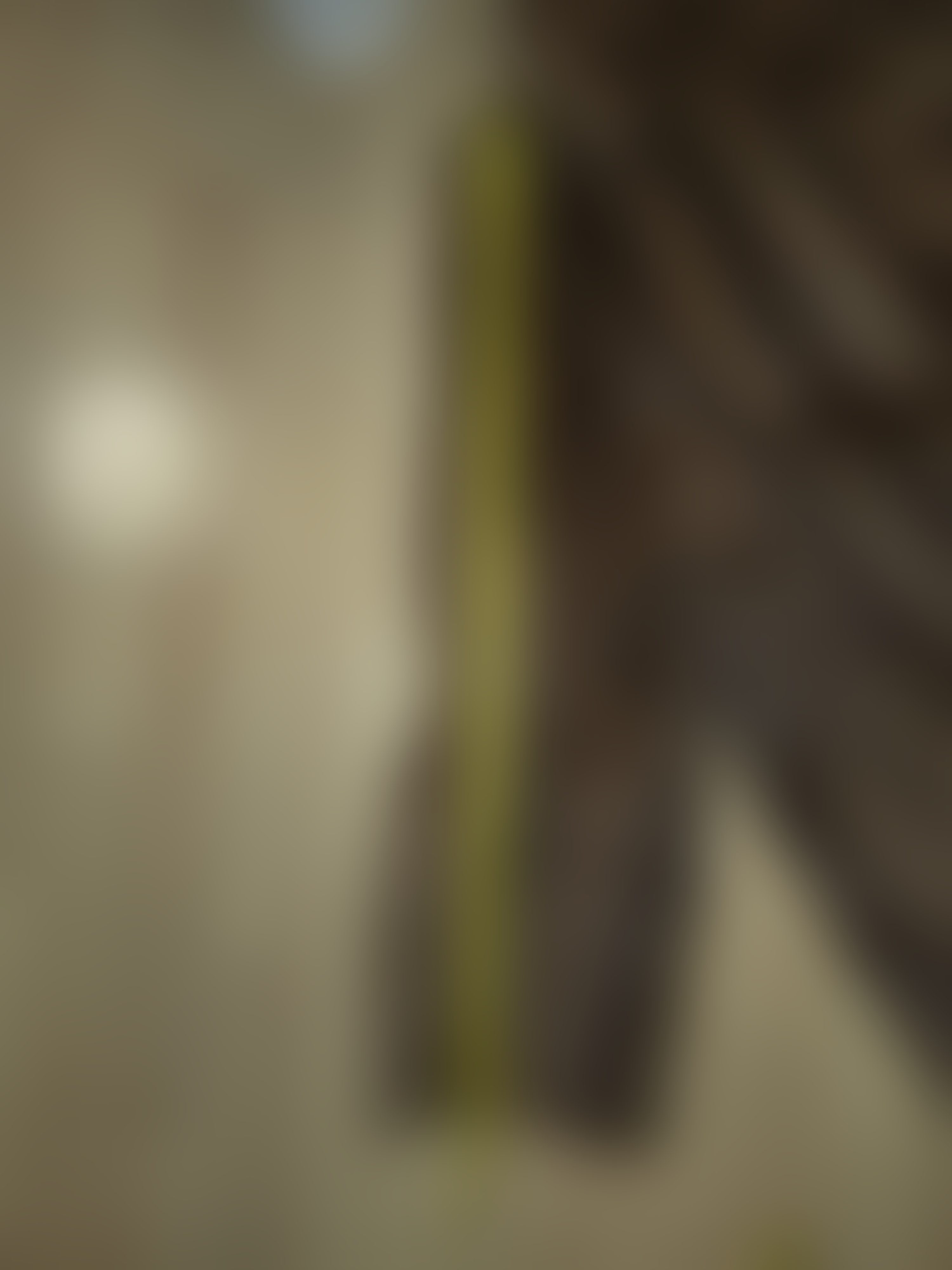 Eingereichtes Pelzstück – Beispiel 1 Bild 2