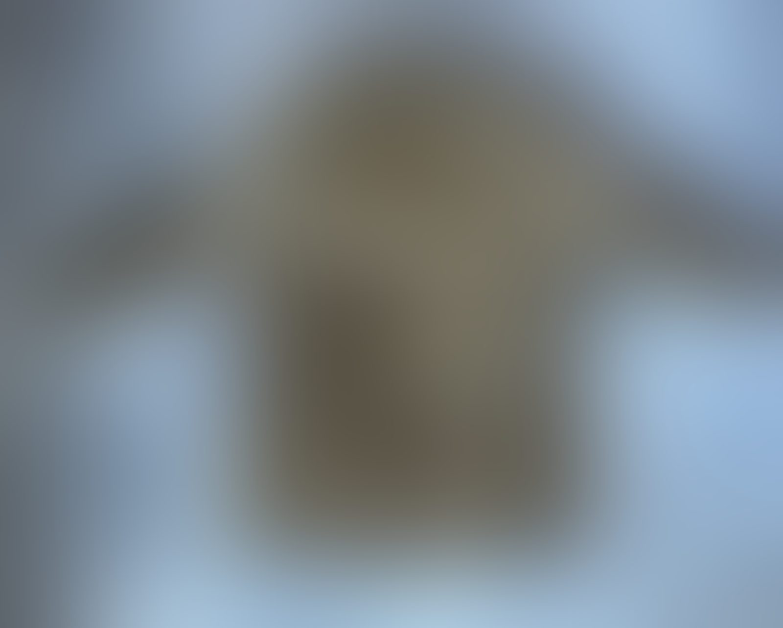 Eingereichtes Pelzstück – Beispiel 257 Bild 3