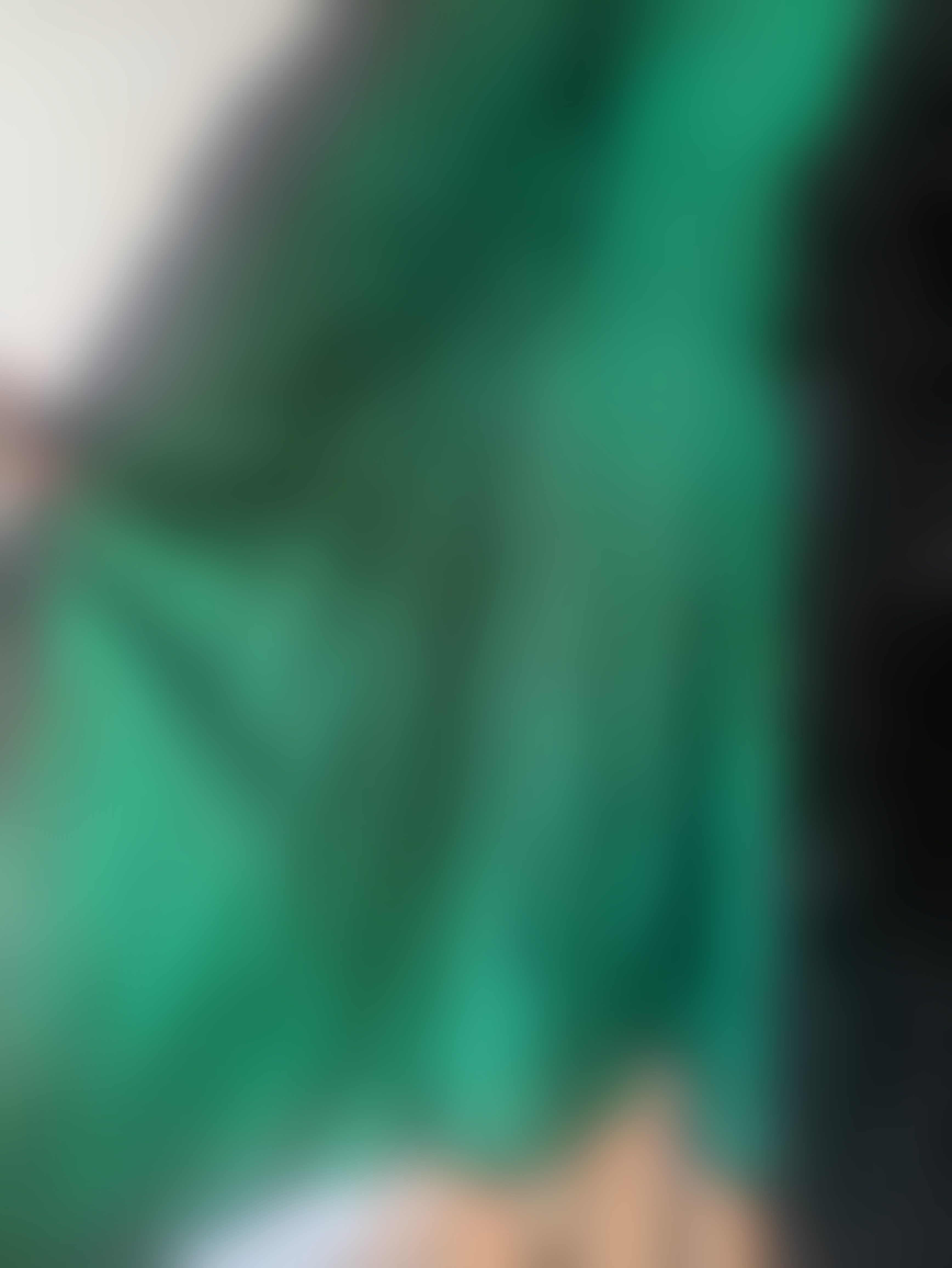 Eingereichtes Pelzstück – Beispiel 34 Bild 10