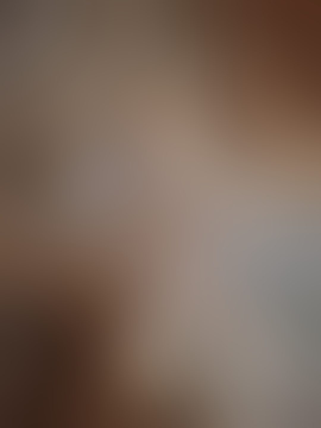 Eingereichtes Pelzstück – Beispiel 249 Bild 2