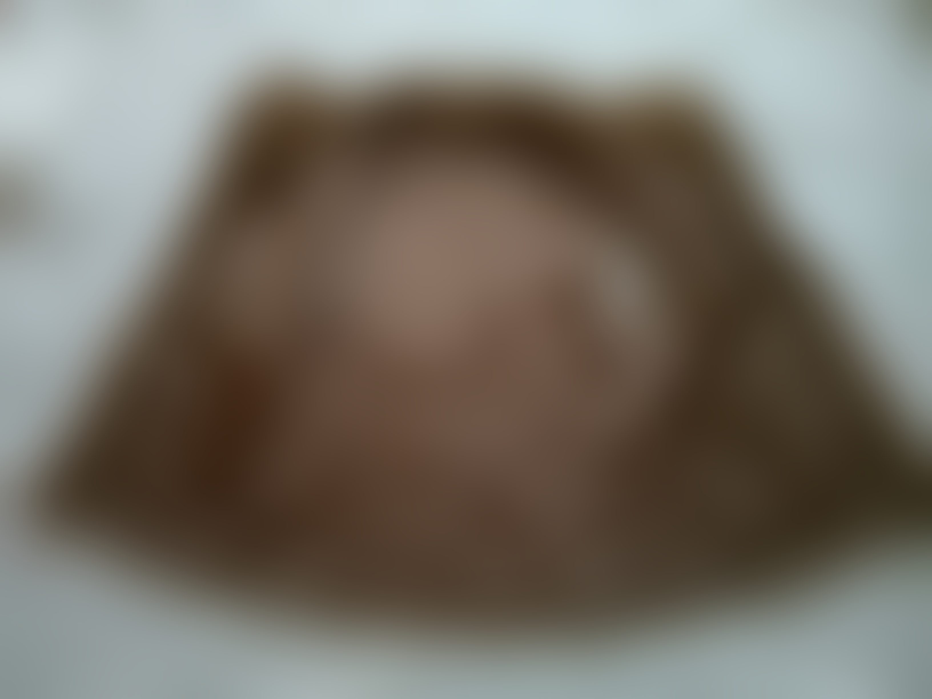 Eingereichtes Pelzstück – Beispiel 110.4 Bild 4