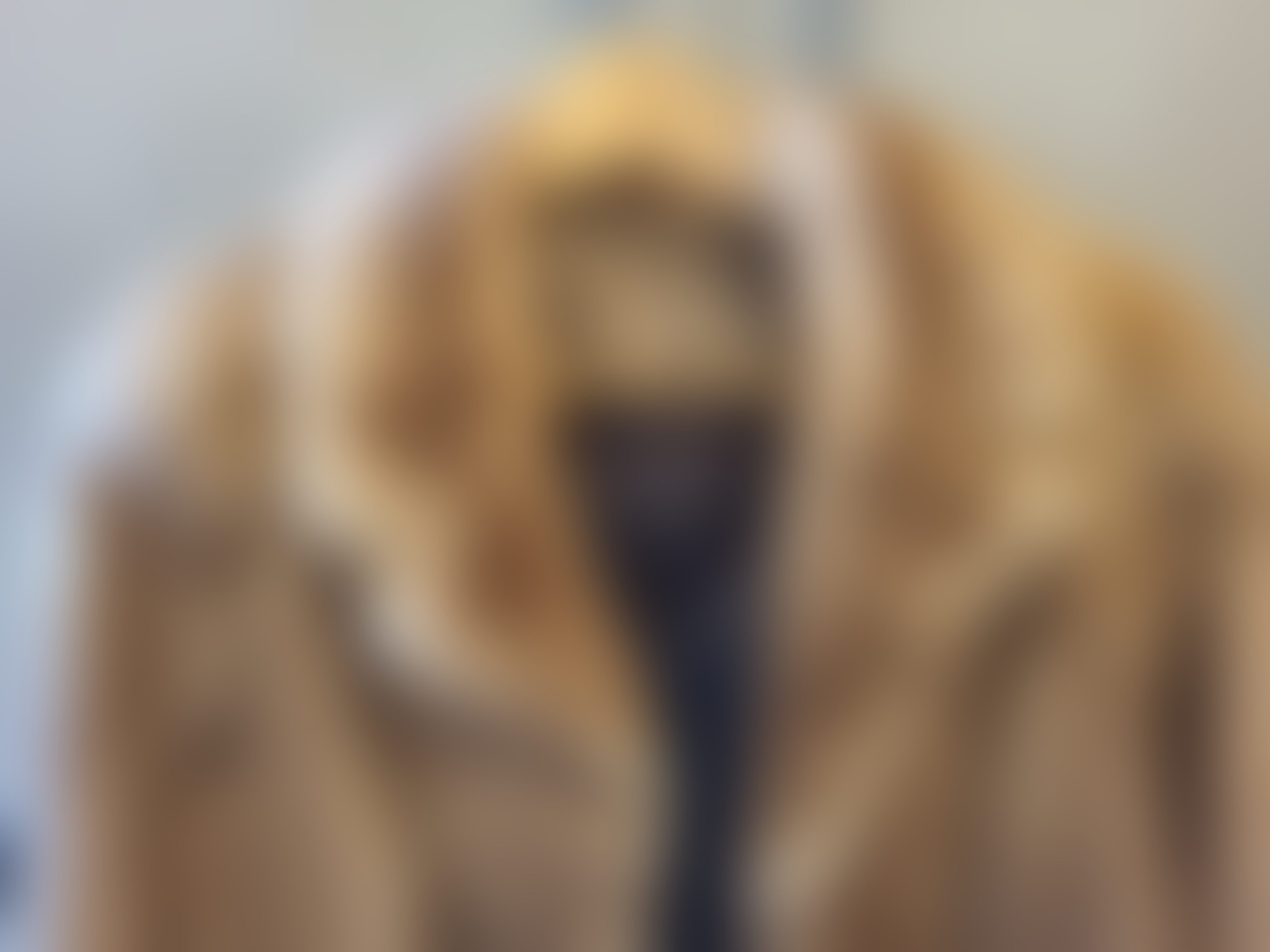 Eingereichtes Pelzstück – Beispiel 1 Bild 1