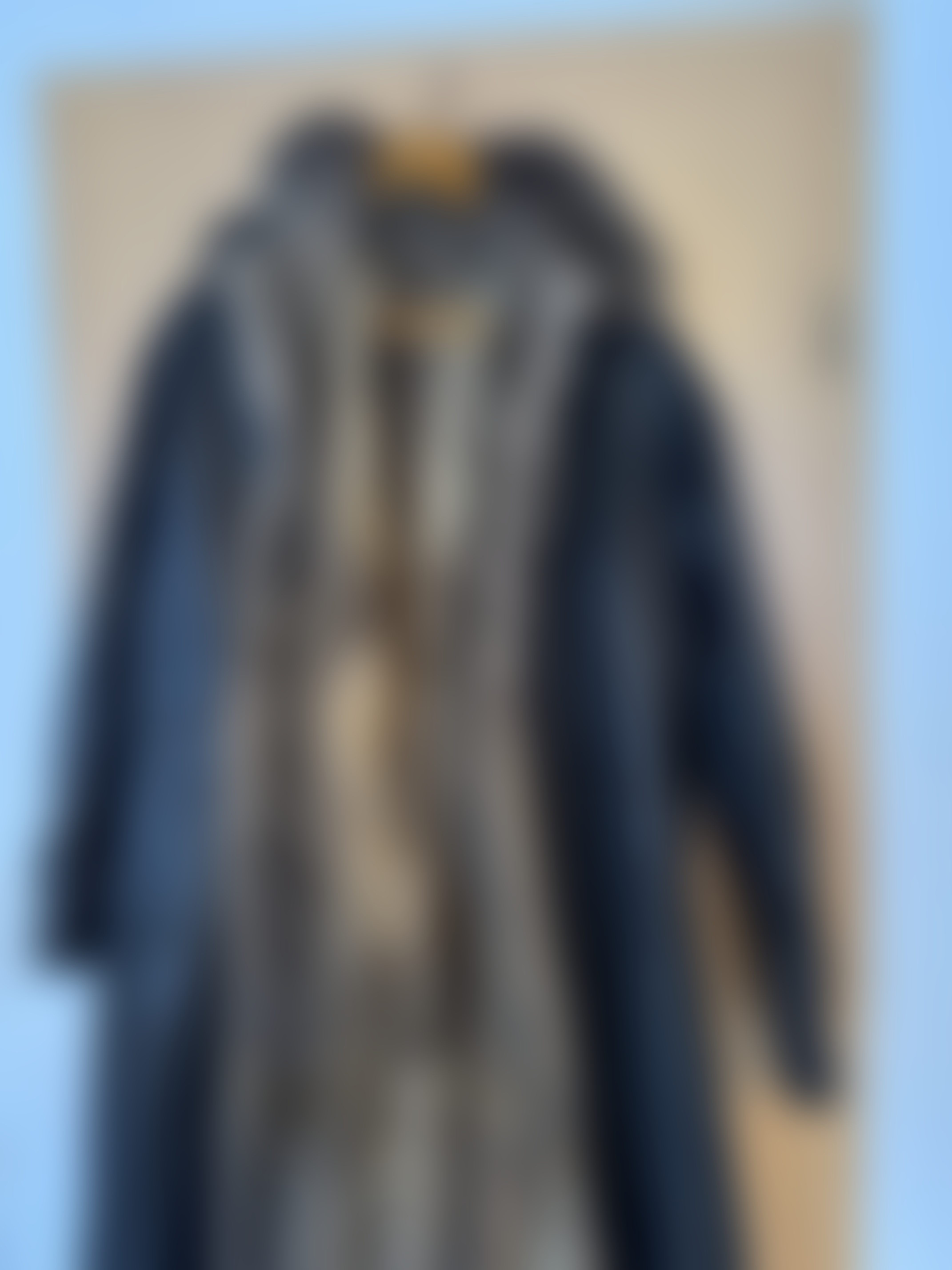 Eingereichtes Pelzstück – Beispiel 32.5 Bild 1