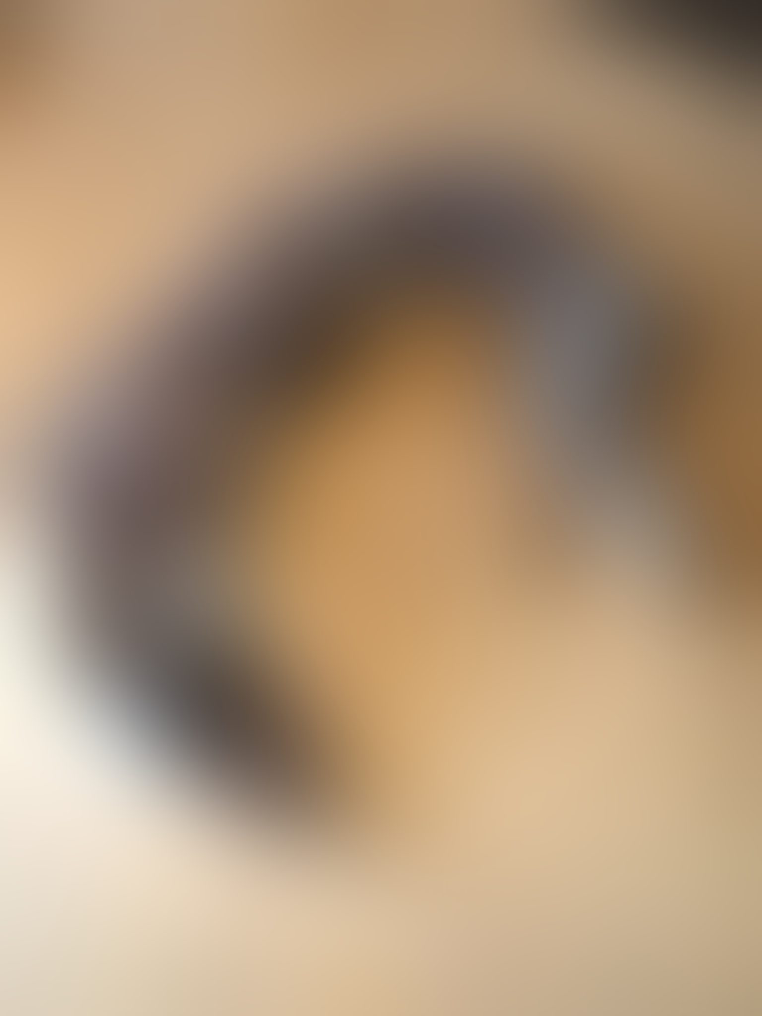 Eingereichtes Pelzstück – Beispiel 37 Bild 2