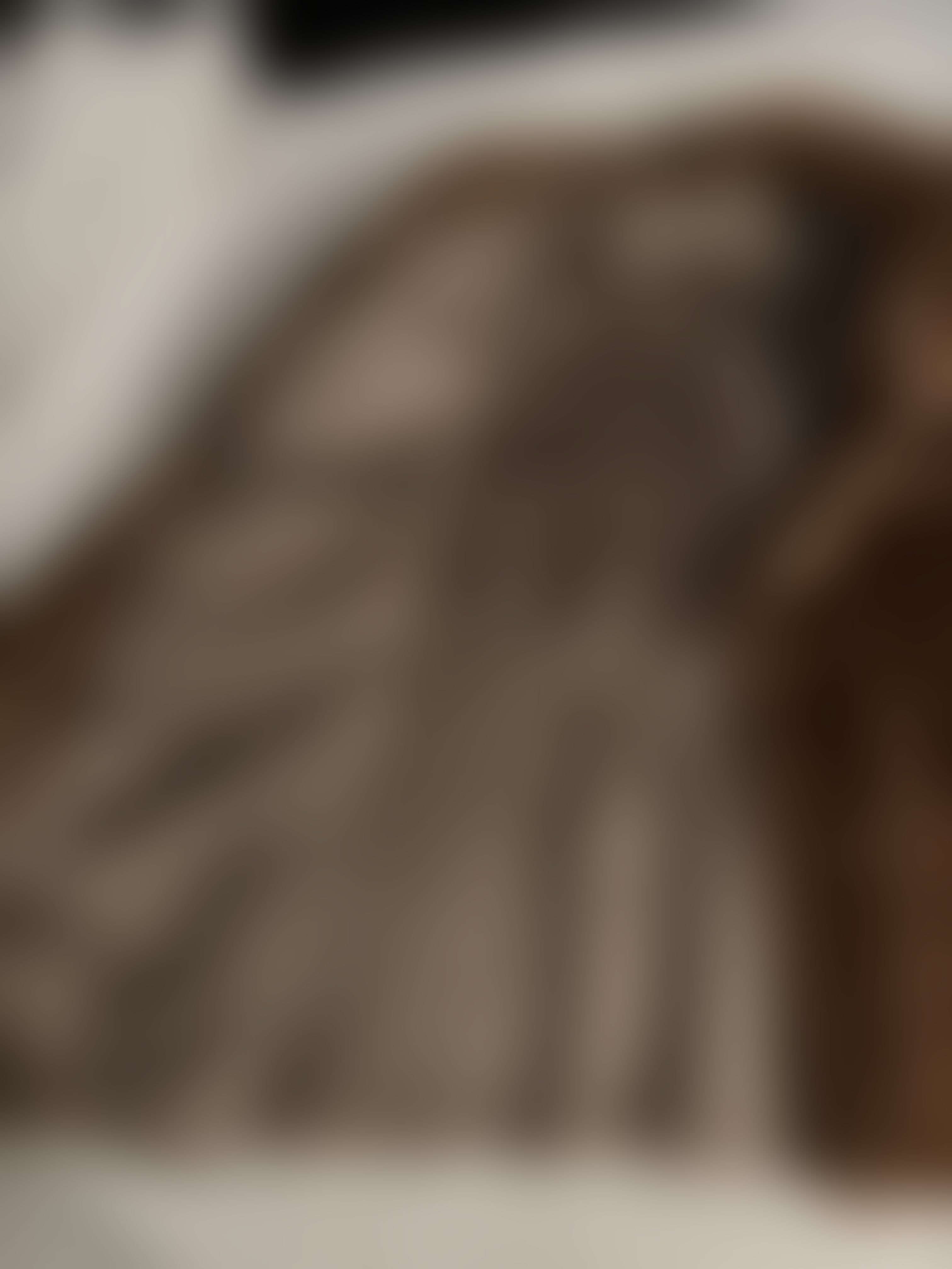 Eingereichtes Pelzstück – Beispiel 1 Bild 2