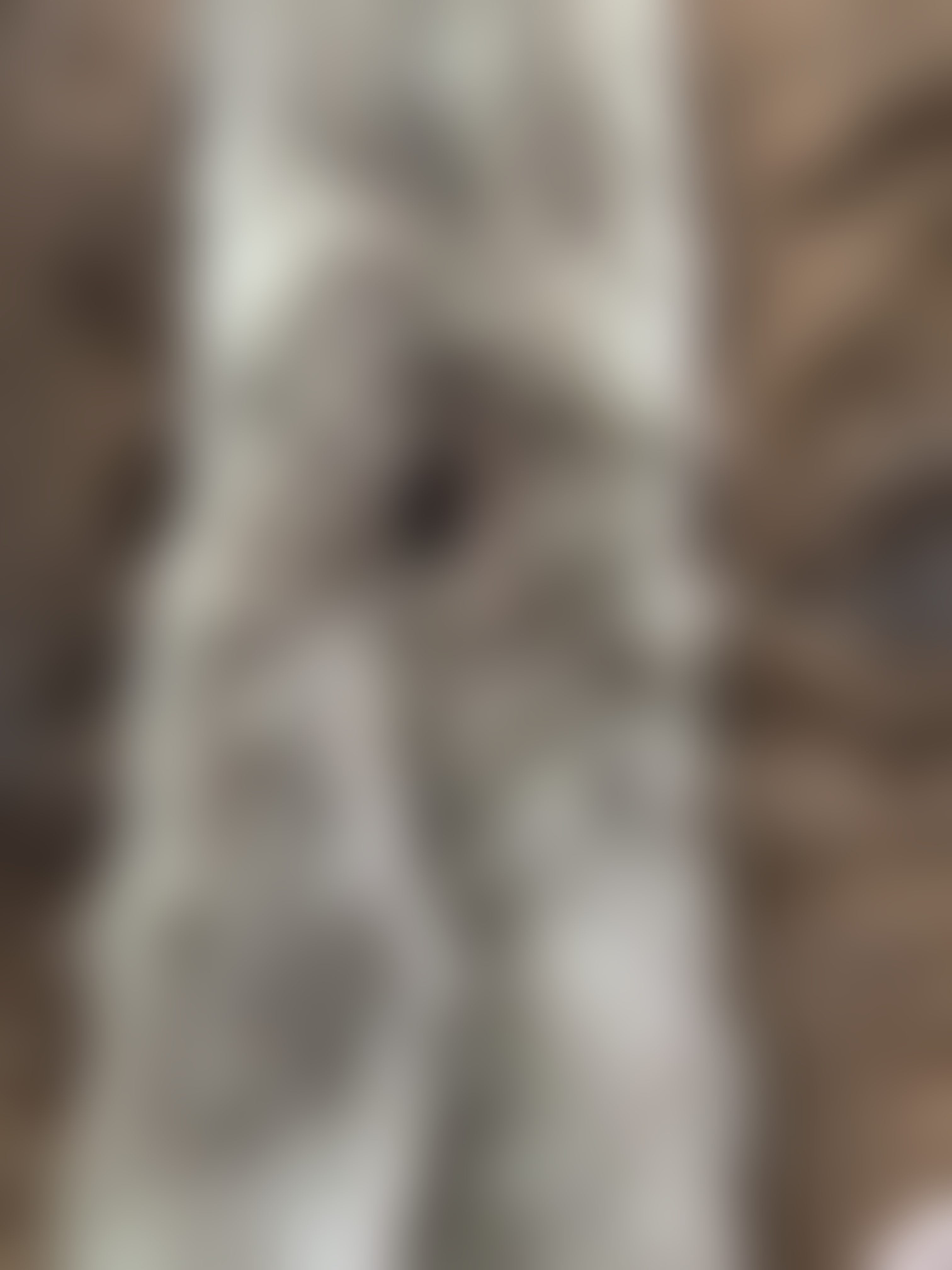 Eingereichtes Pelzstück – Beispiel 68.2 Bild 5