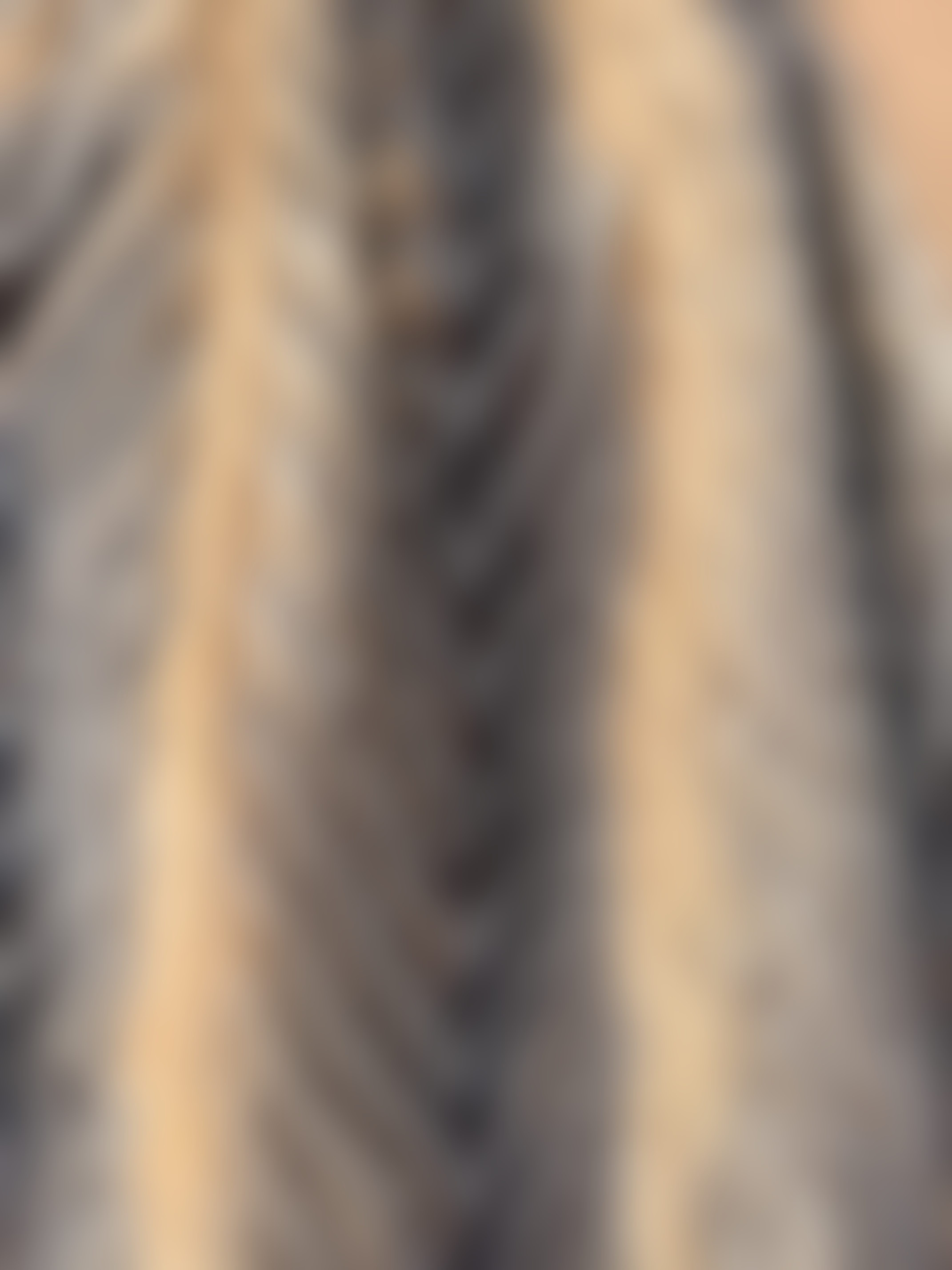 Eingereichtes Pelzstück – Beispiel 258 Bild 3