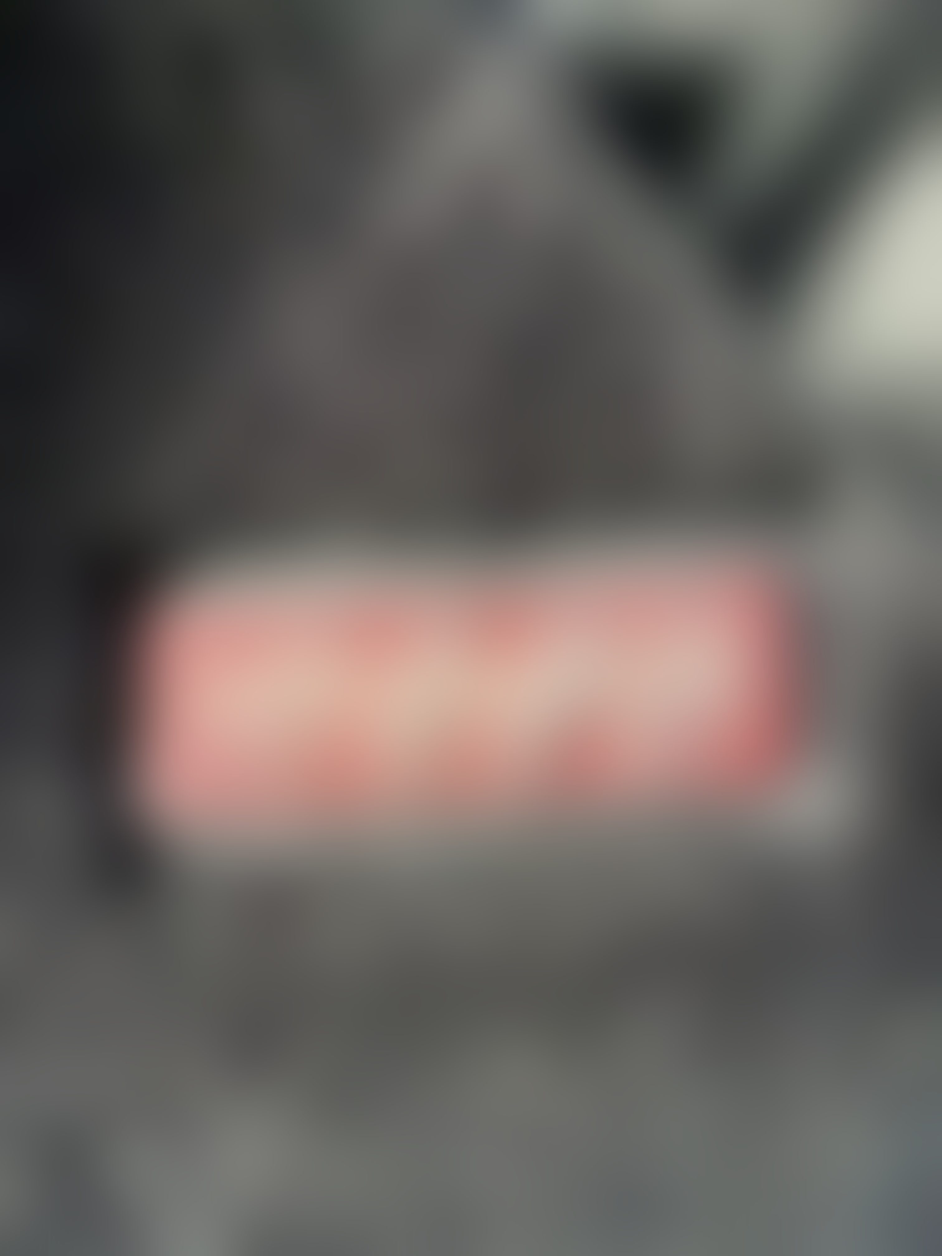 Eingereichtes Pelzstück – Beispiel 4 Bild 5