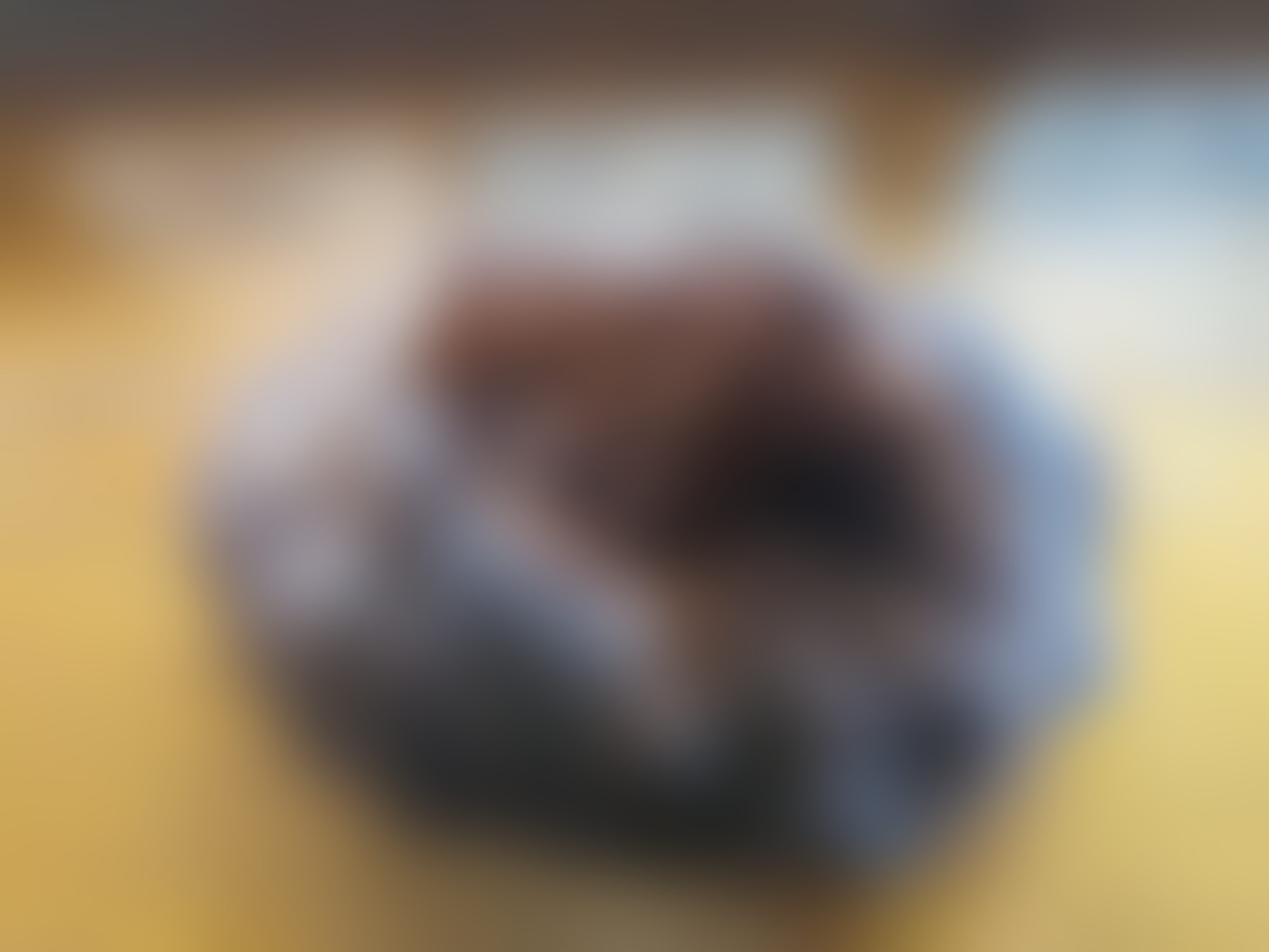 Eingereichtes Pelzstück – Beispiel 36.7 Bild 1