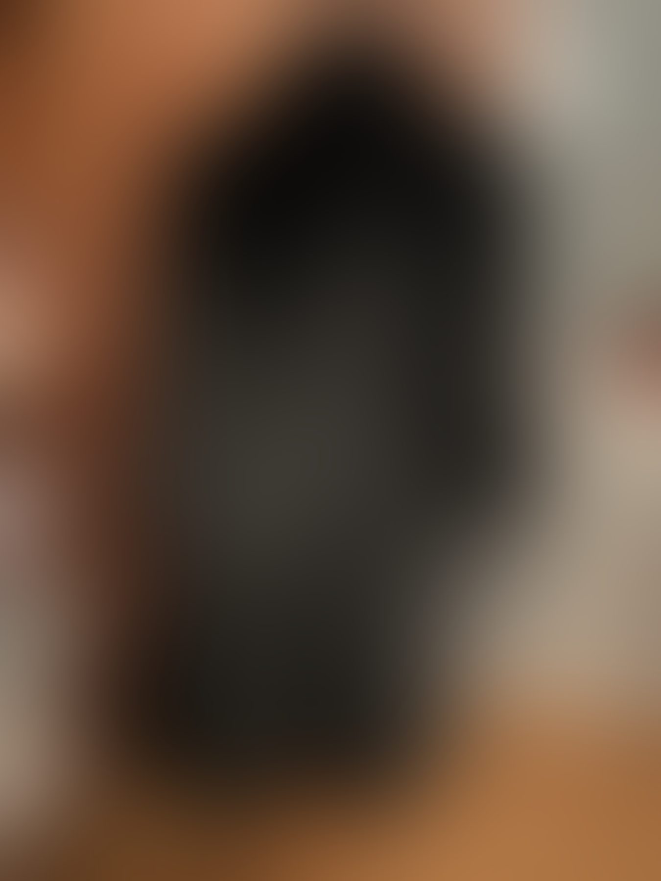 Eingereichtes Pelzstück – Beispiel 67 Bild 1