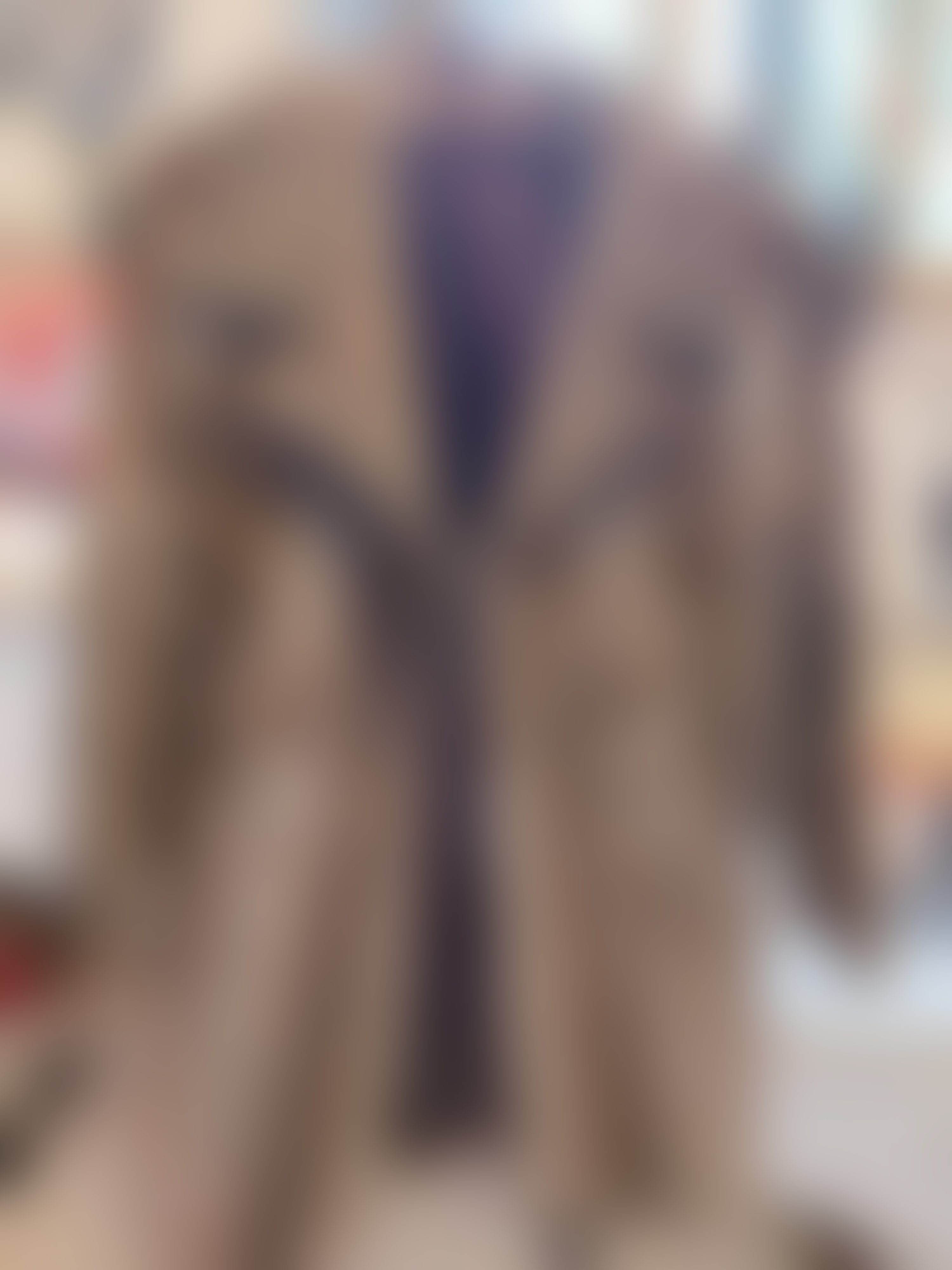 Eingereichtes Pelzstück – Beispiel 36.1 Bild 4