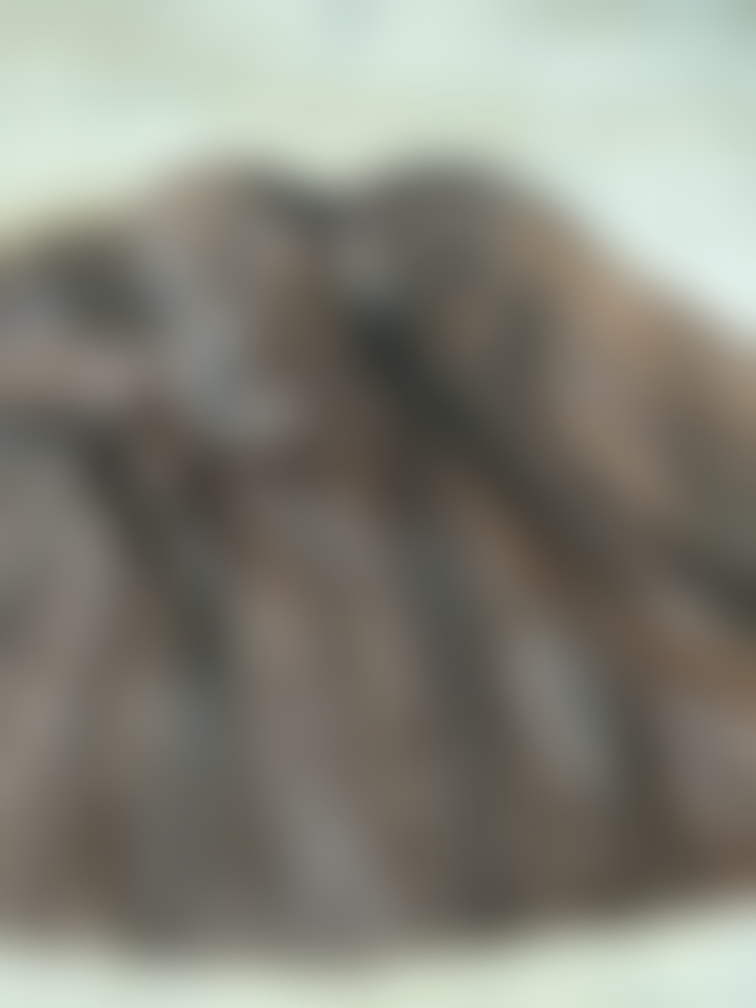 Eingereichtes Pelzstück – Beispiel 30 Bild 7