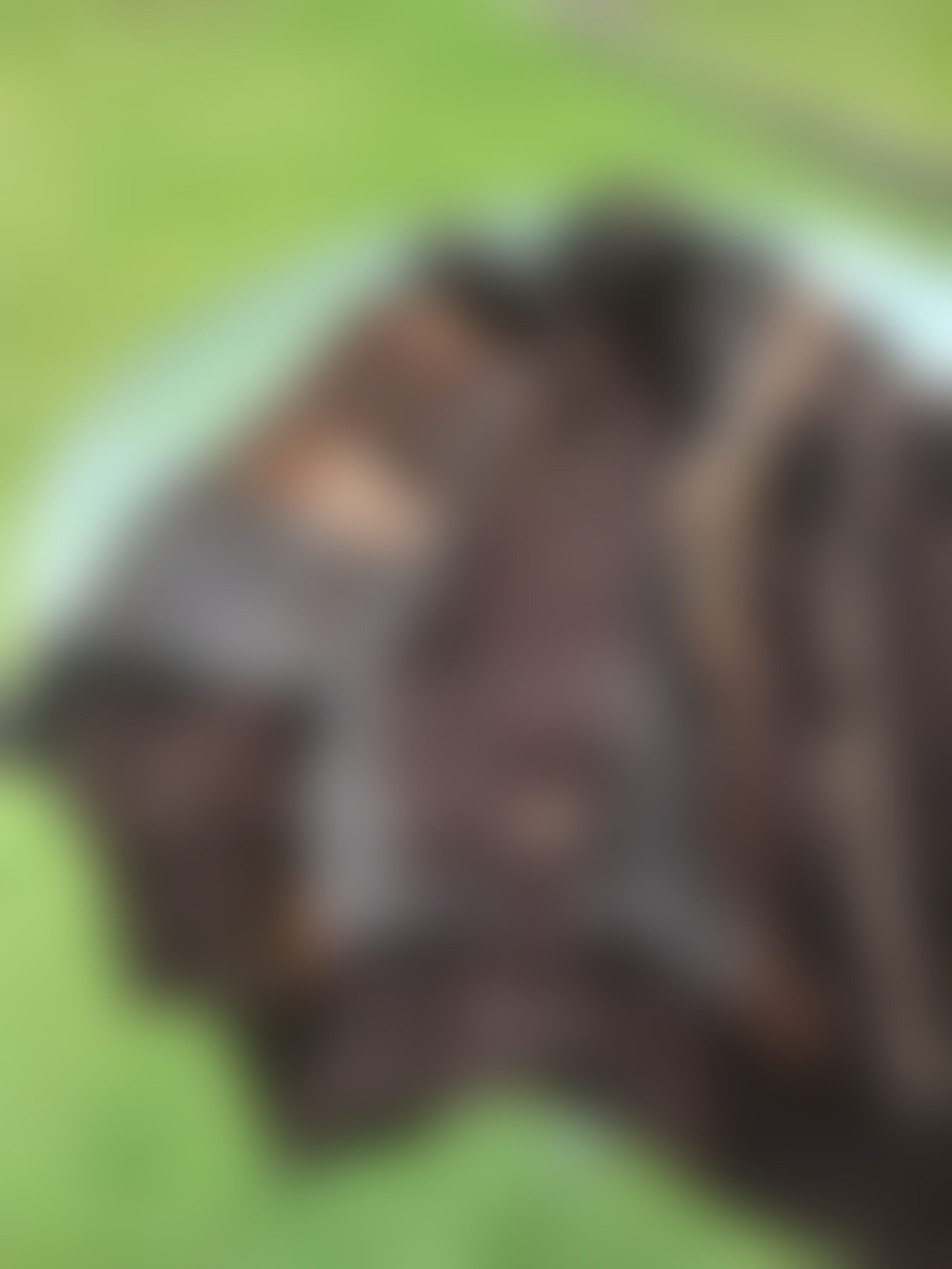 Eingereichtes Pelzstück – Beispiel 201 Bild 8