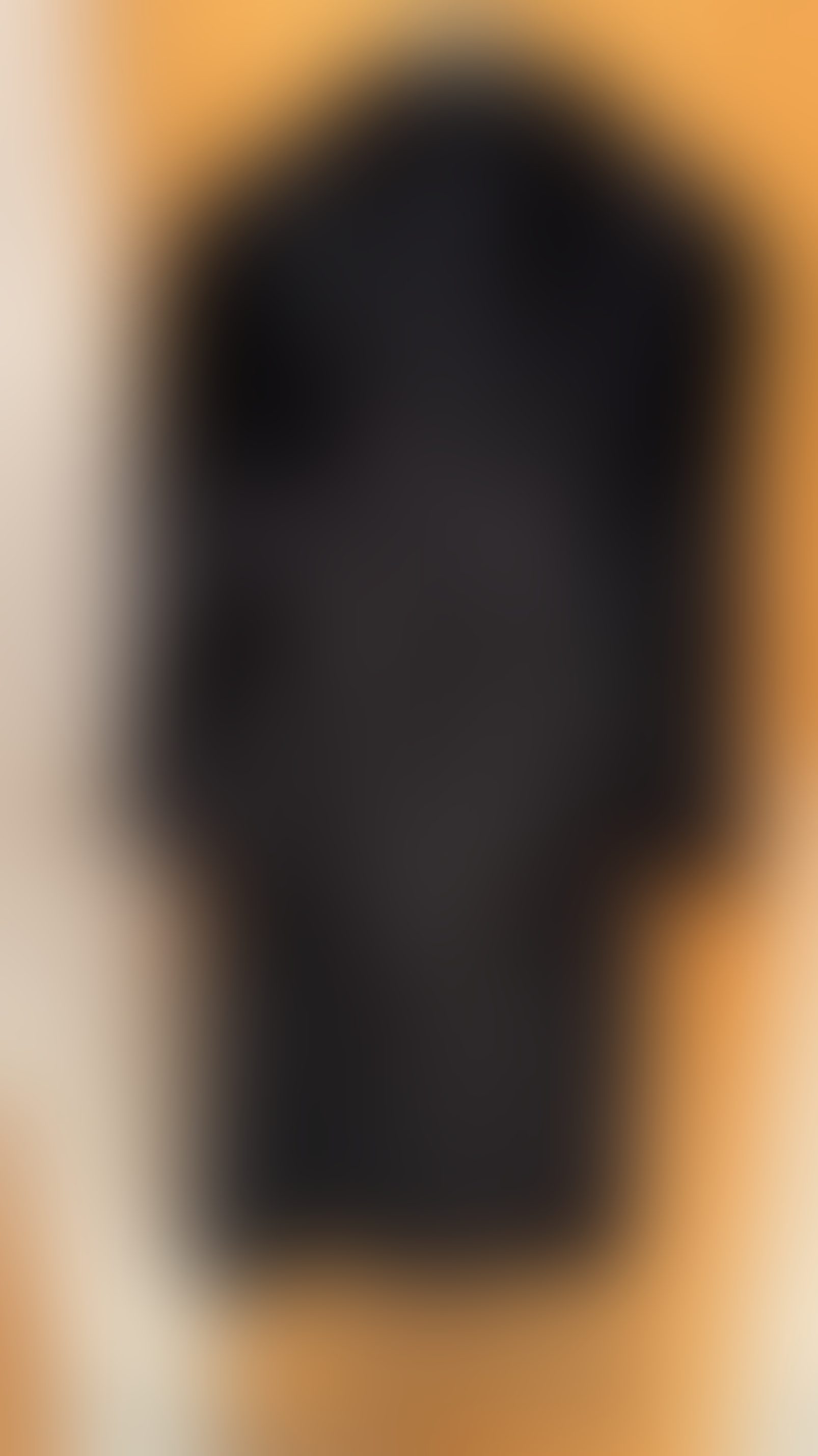 Eingereichtes Pelzstück – Beispiel 24.1 Bild 3