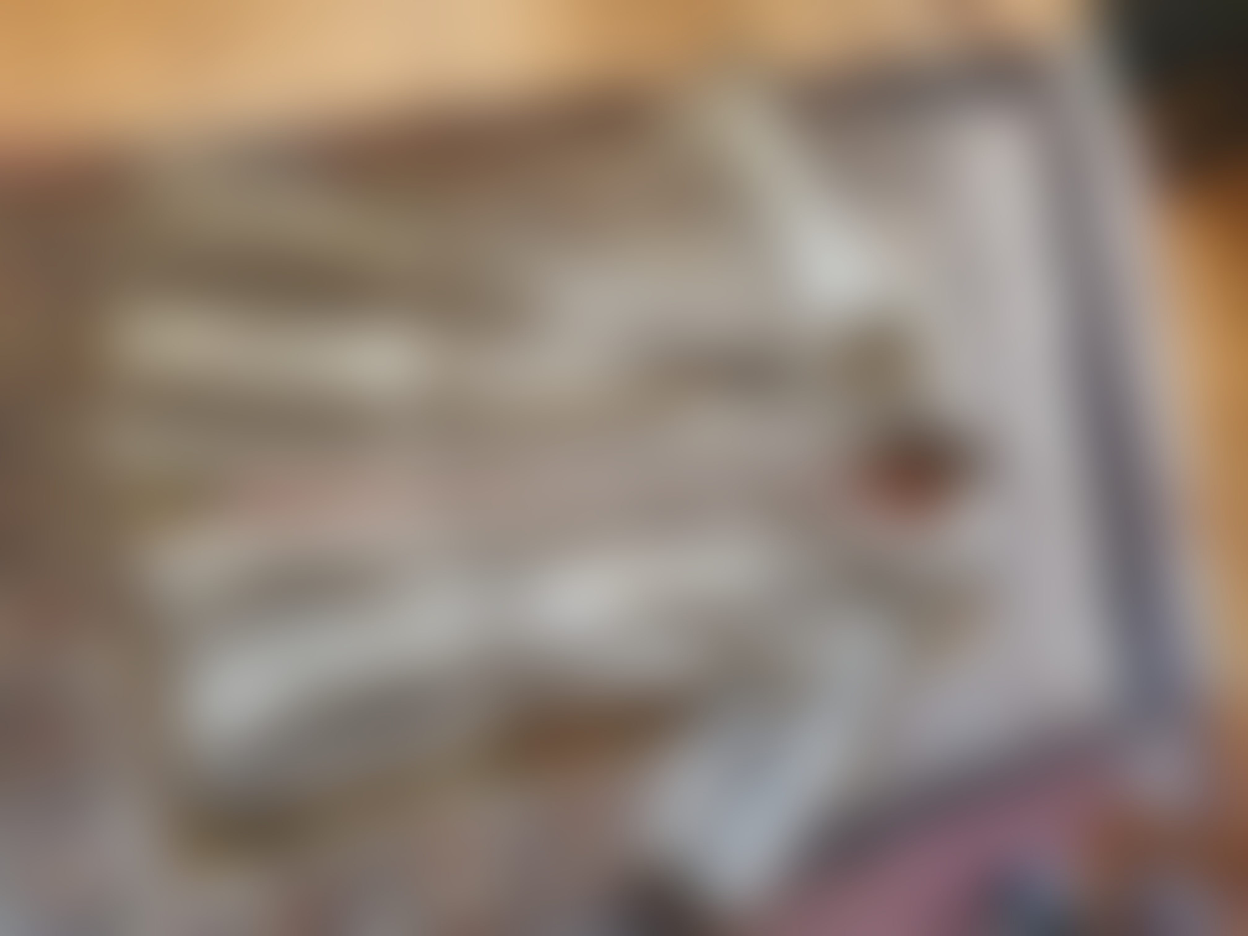 Eingereichtes Pelzstück – Beispiel 234 Bild 10