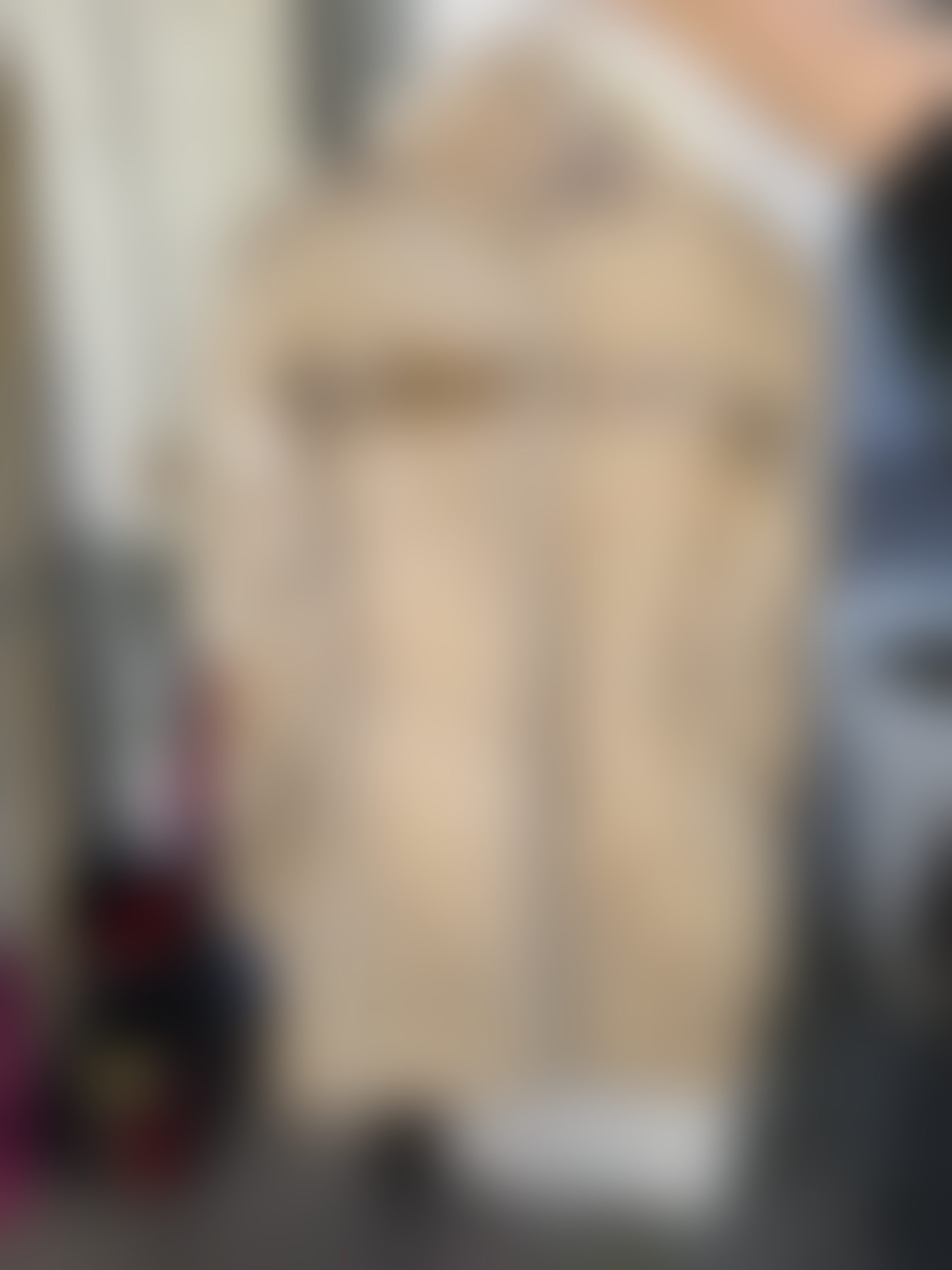 Eingereichtes Pelzstück – Beispiel 4 Bild 2