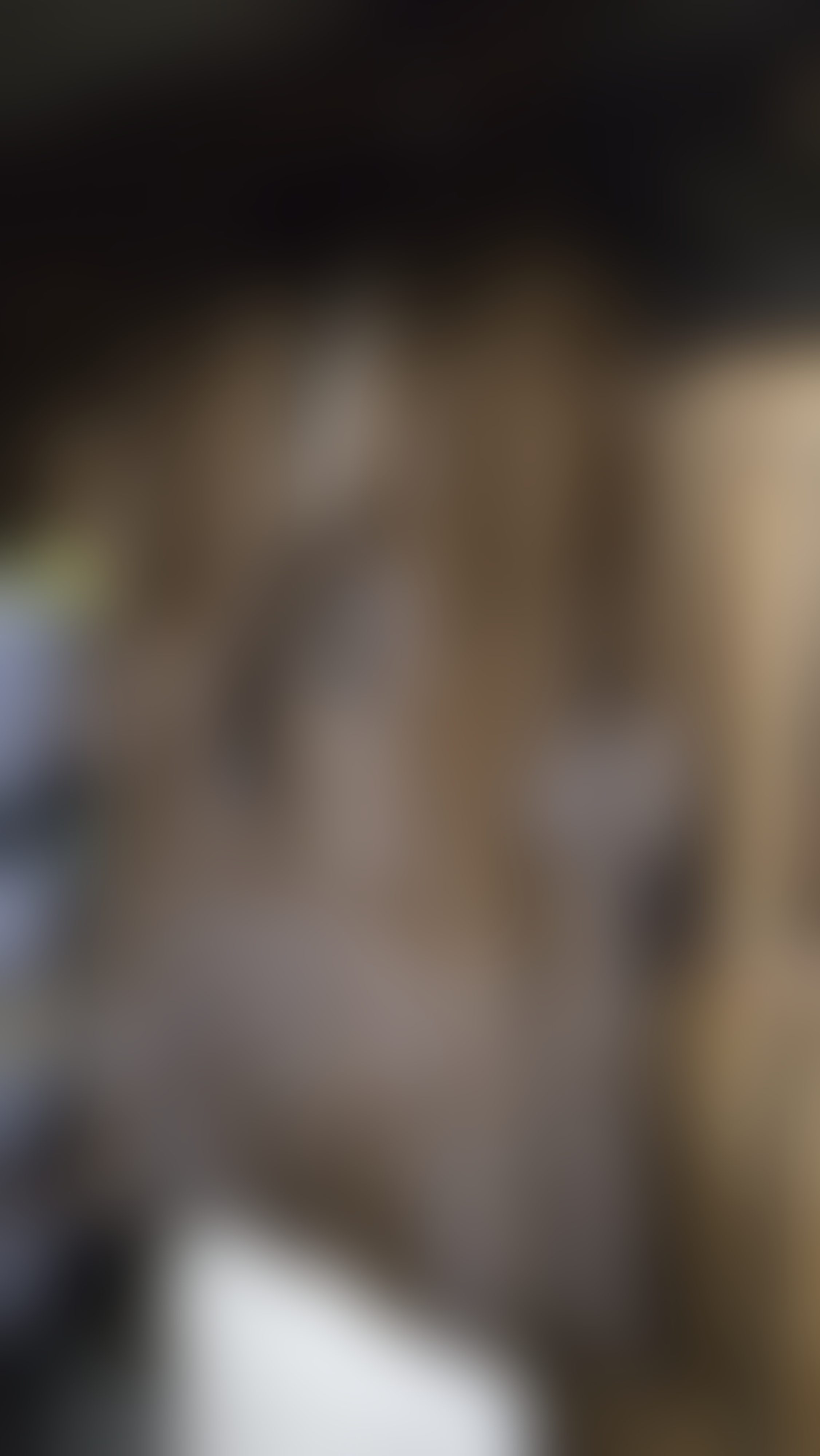 Eingereichtes Pelzstück – Beispiel 51 Bild 2