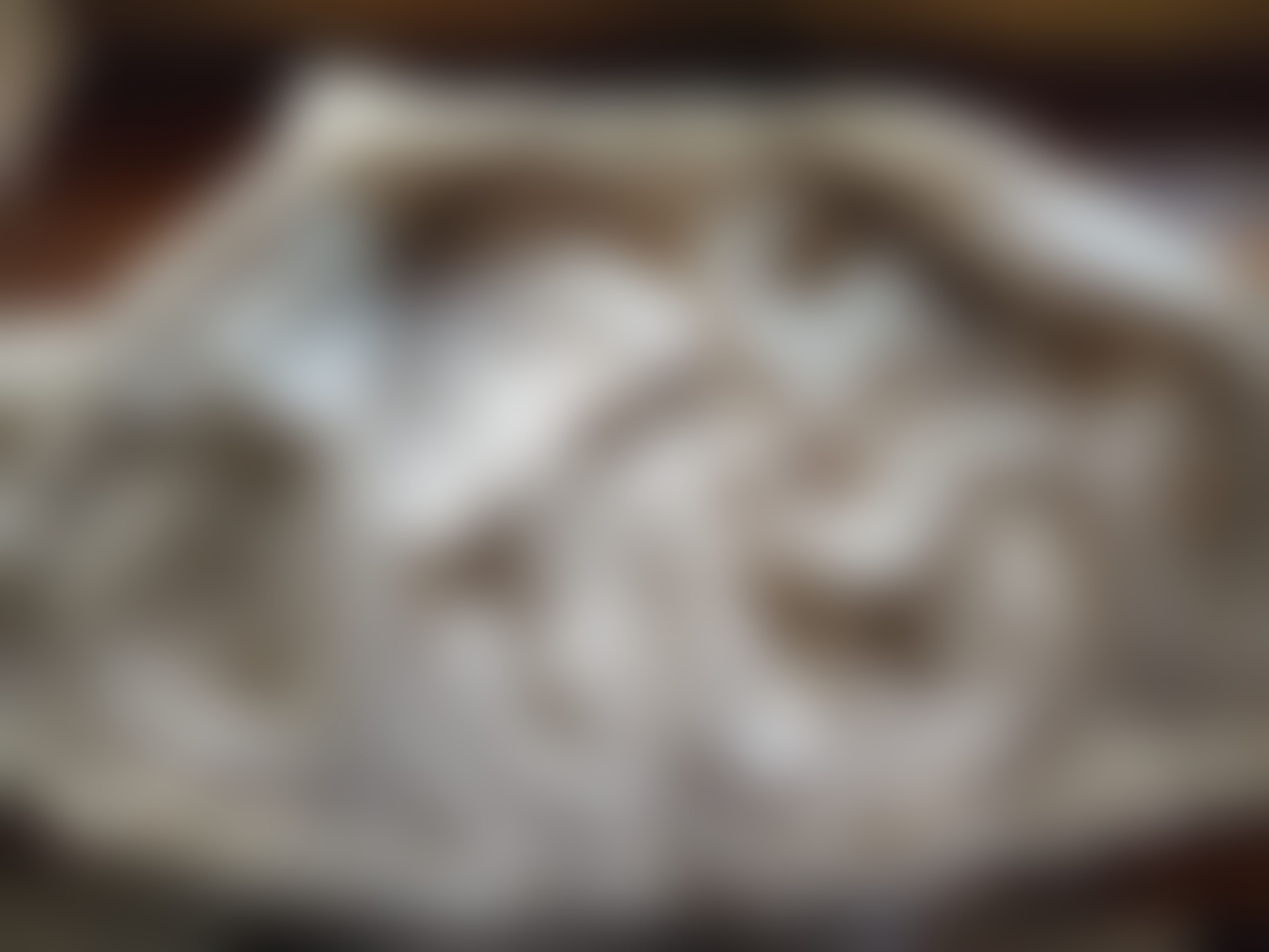 Eingereichtes Pelzstück – Beispiel 36.4 Bild 1