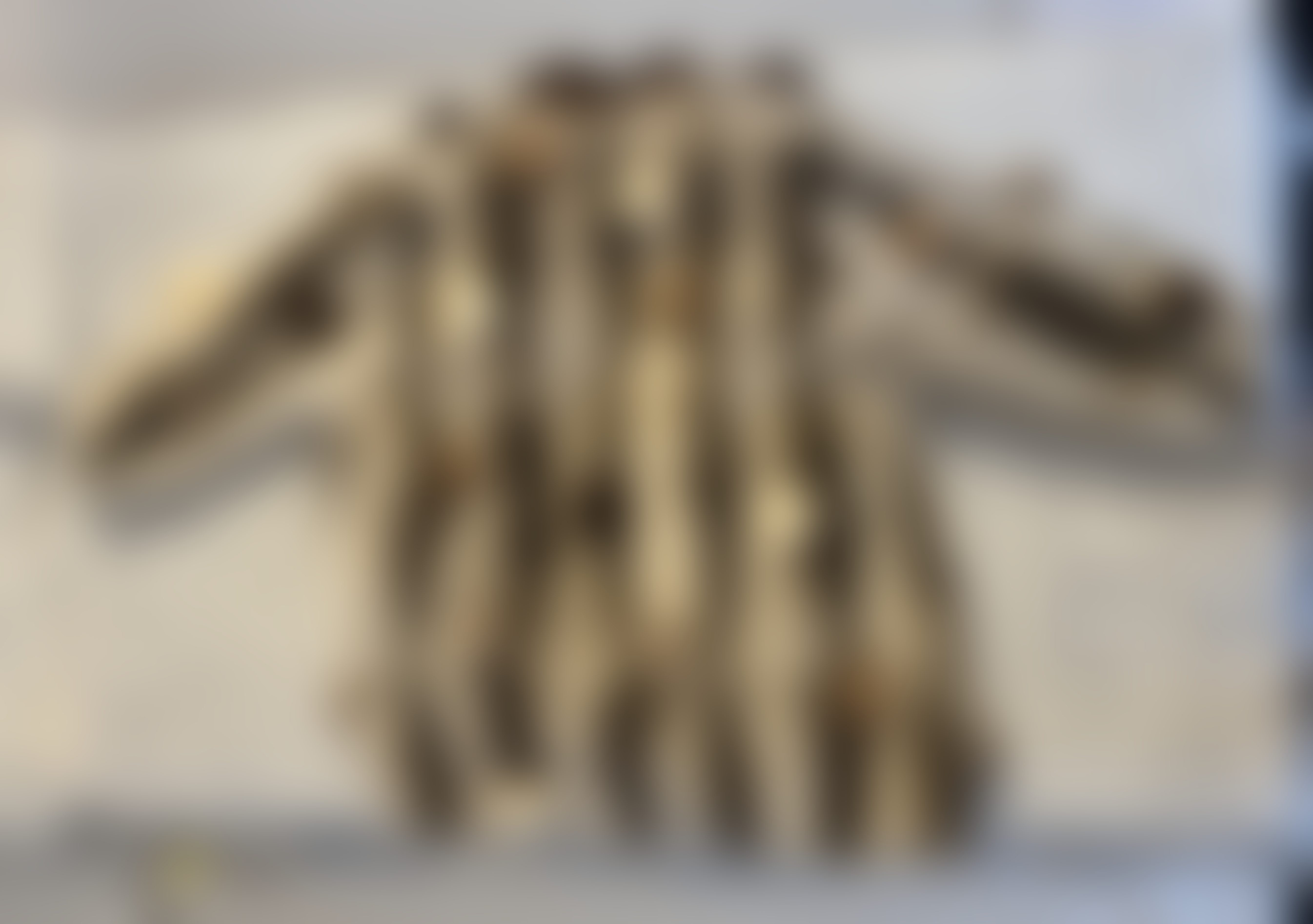 Eingereichtes Pelzstück – Beispiel 205 Bild 5