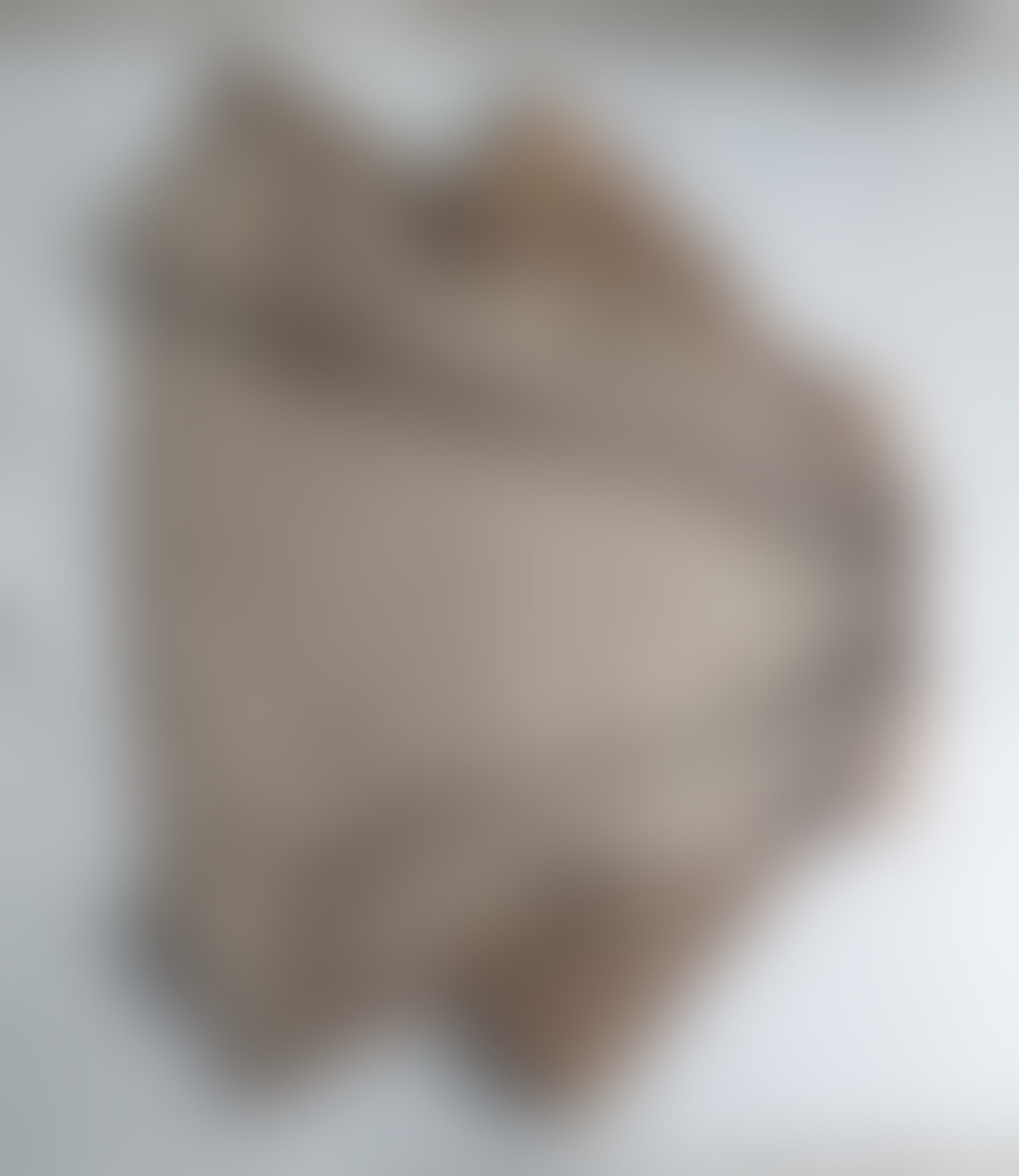 Eingereichtes Pelzstück – Beispiel 118 Bild 9