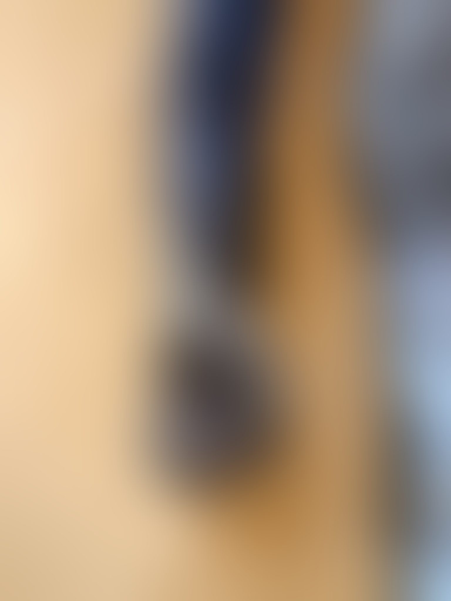 Eingereichtes Pelzstück – Beispiel 37 Bild 6