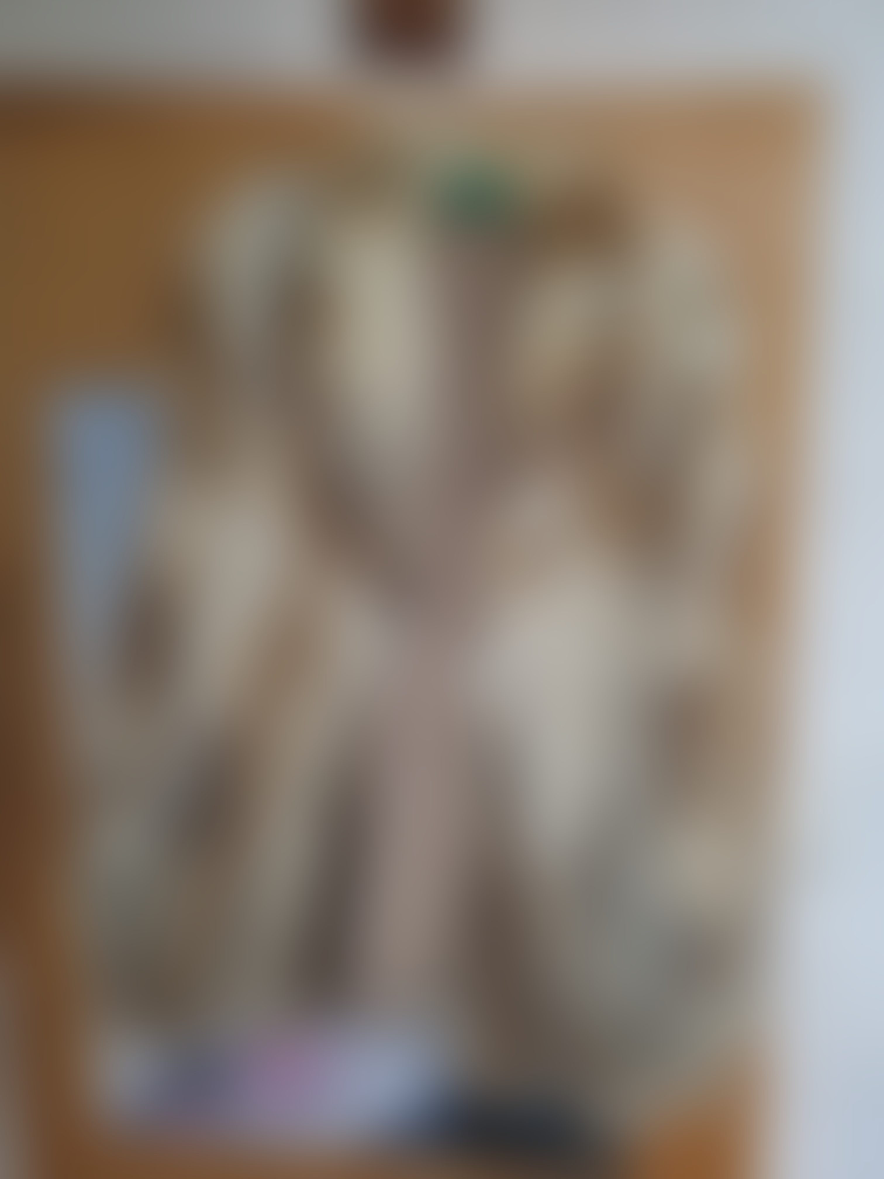 Eingereichtes Pelzstück – Beispiel 41.2 Bild 3