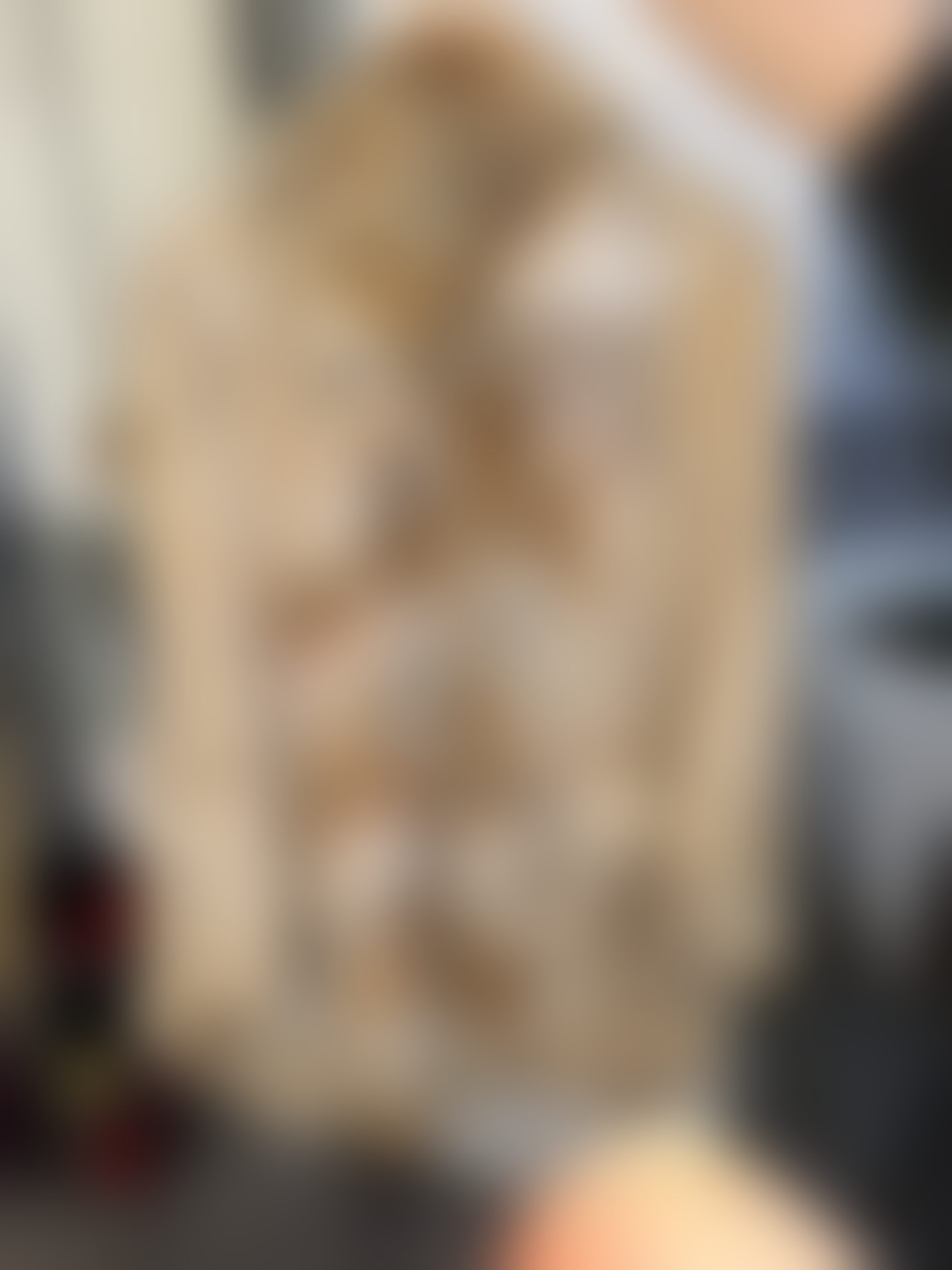 Eingereichtes Pelzstück – Beispiel 4 Bild 1