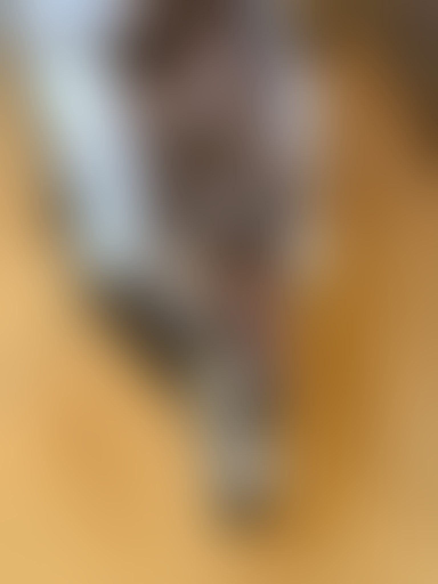 Eingereichtes Pelzstück – Beispiel 37 Bild 4