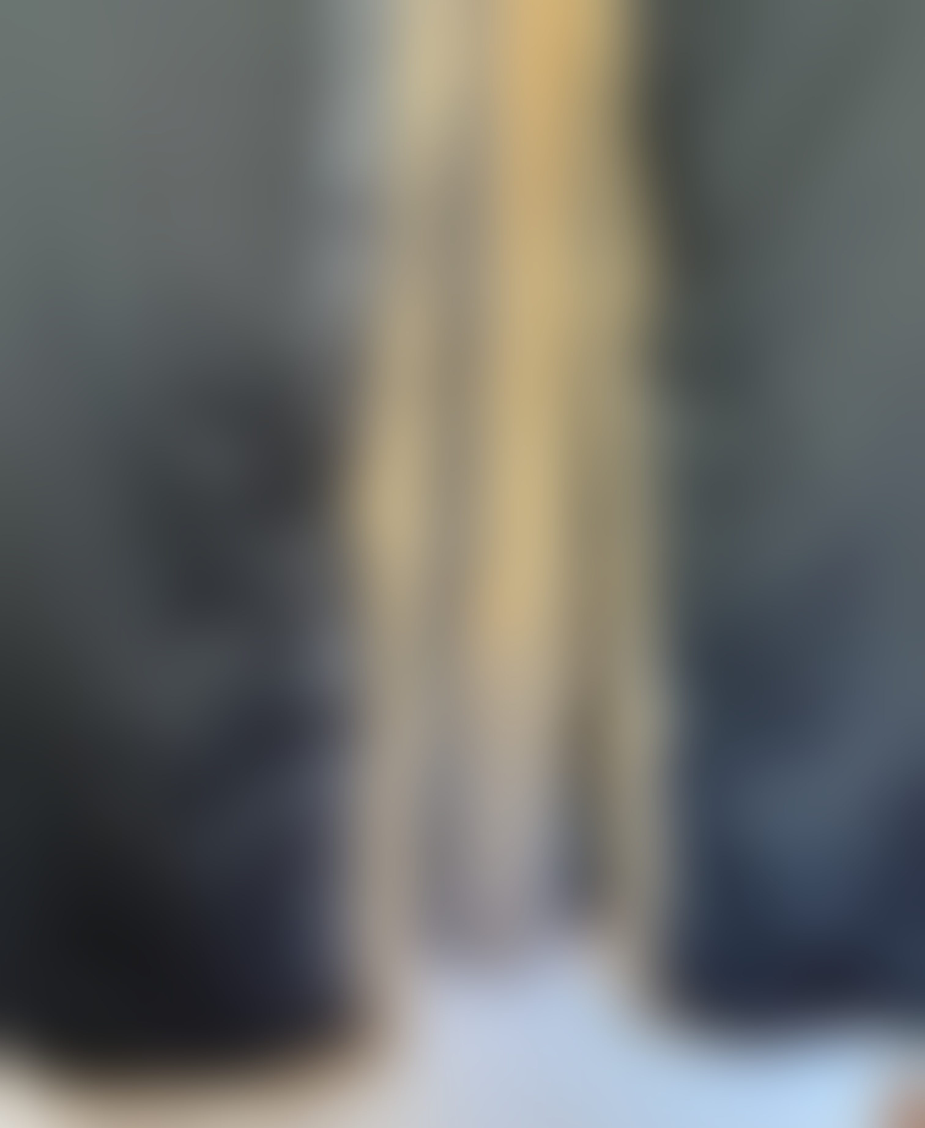 Eingereichtes Pelzstück – Beispiel 54 Bild 8