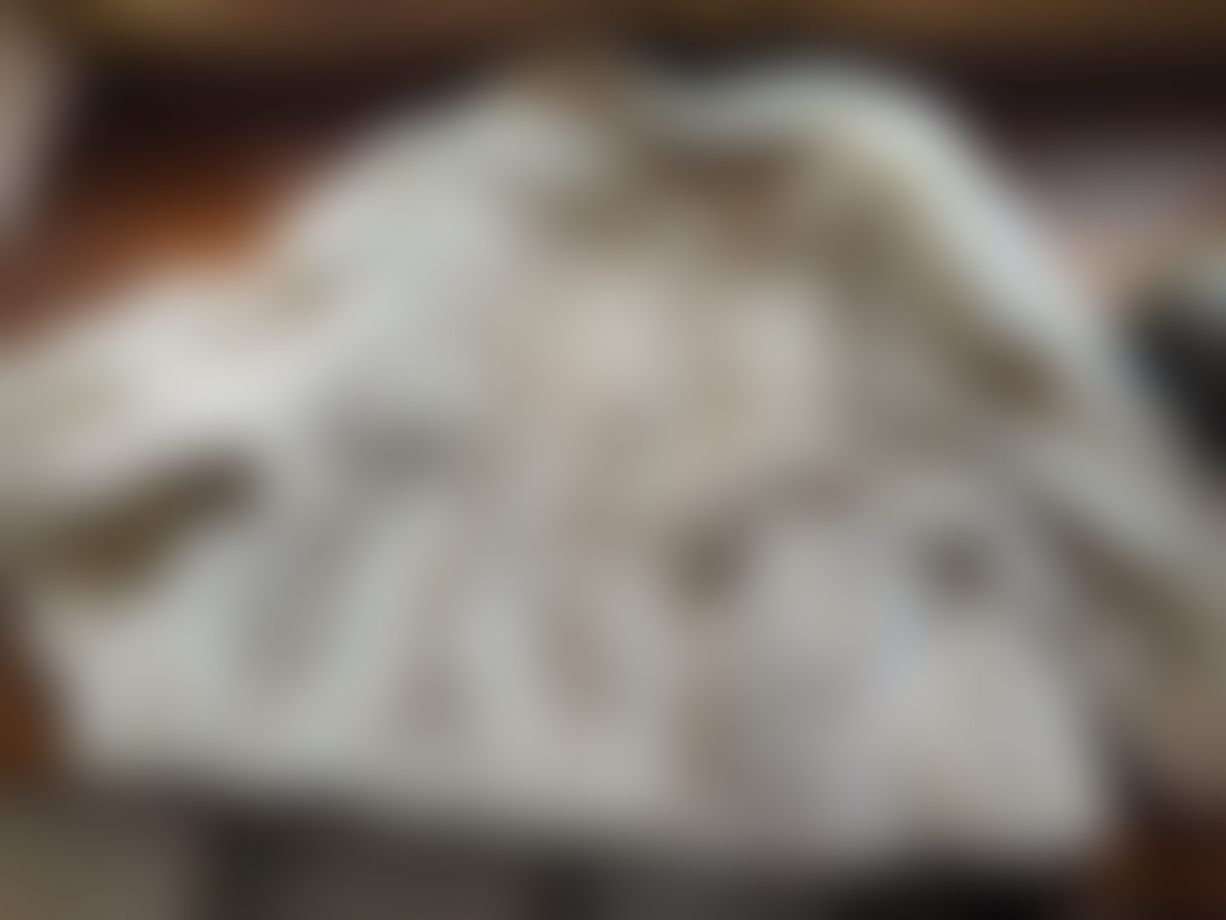 Eingereichtes Pelzstück – Beispiel 36.4 Bild 2