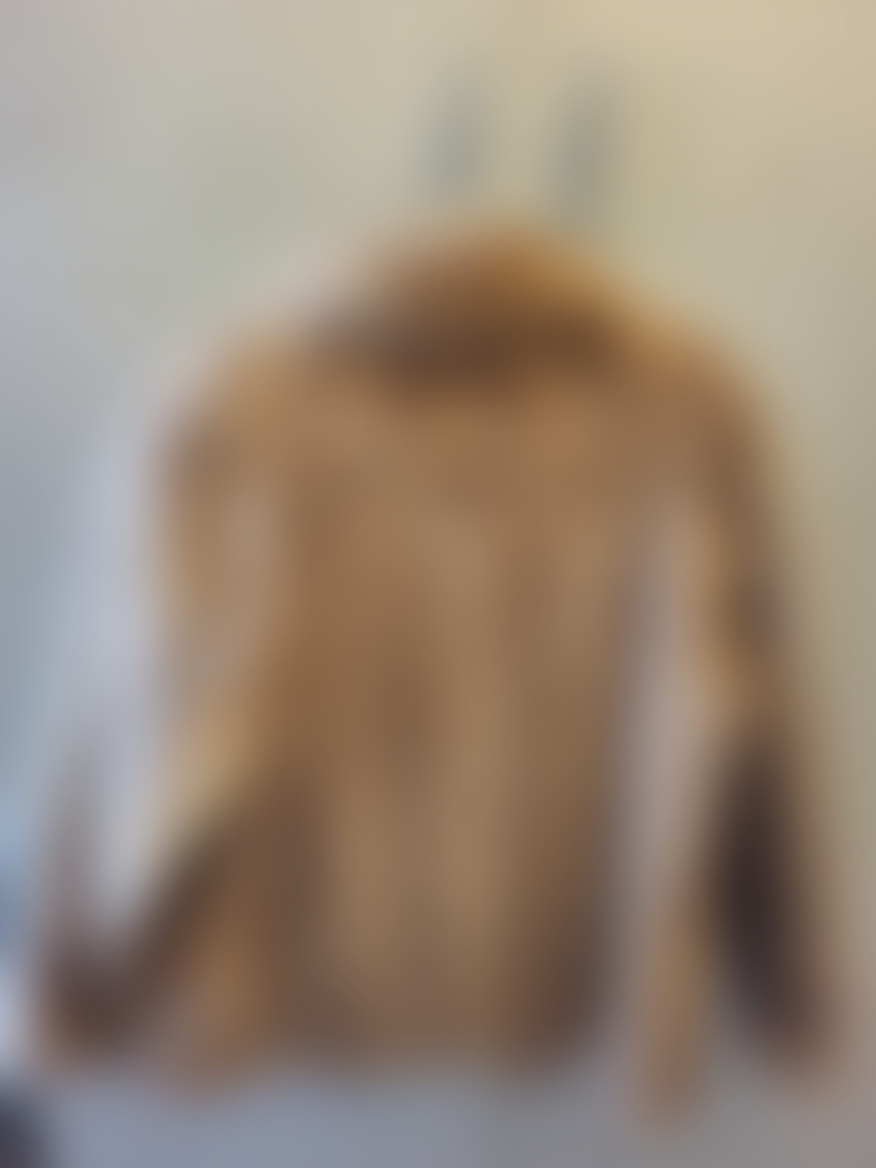 Eingereichtes Pelzstück – Beispiel 1 Bild 2