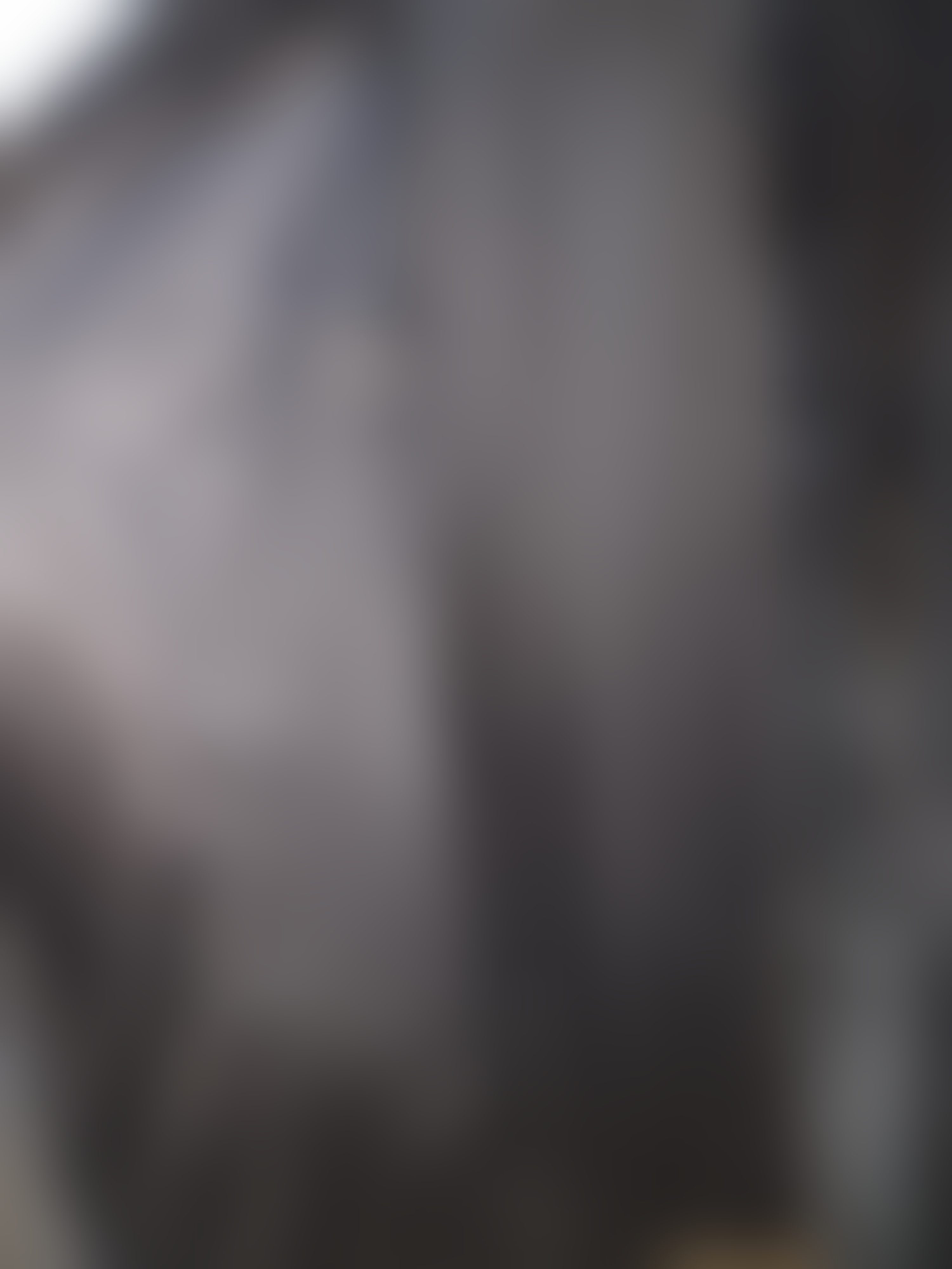 Eingereichtes Pelzstück – Beispiel 221 Bild 4