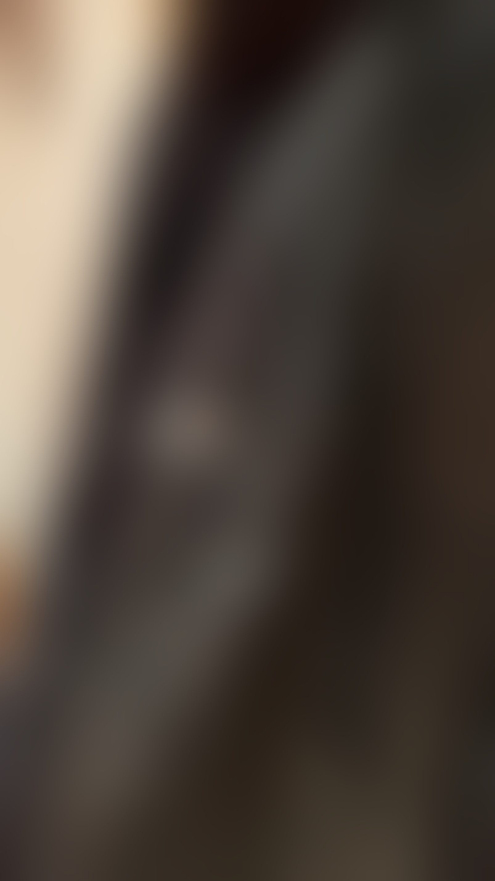 Eingereichtes Pelzstück – Beispiel 24.1 Bild 1