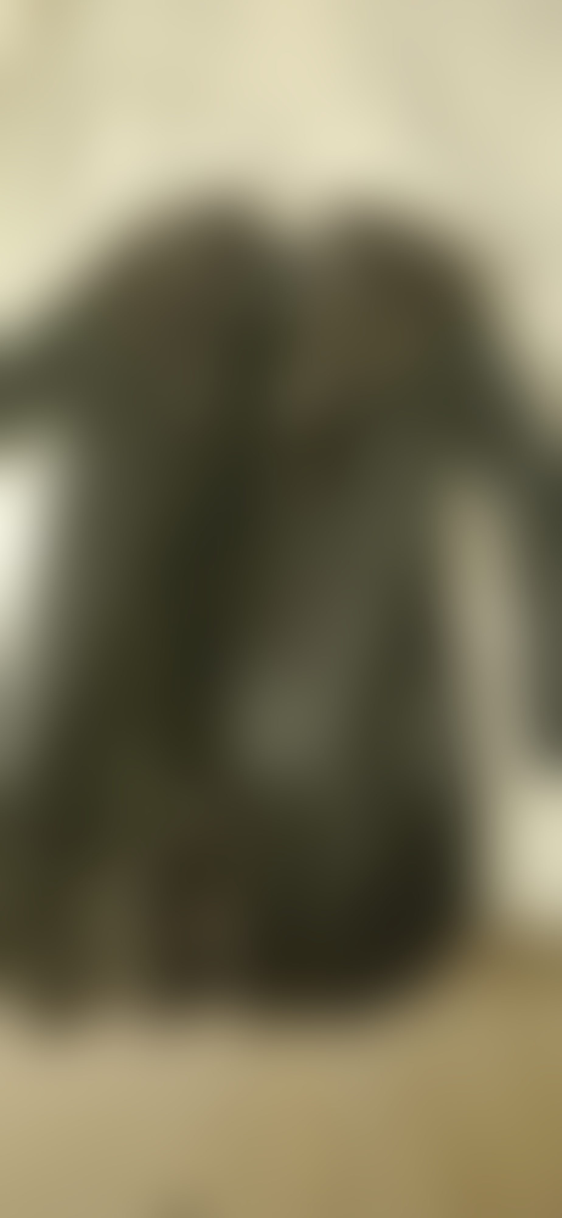 Eingereichtes Pelzstück – Beispiel 1 Bild 3