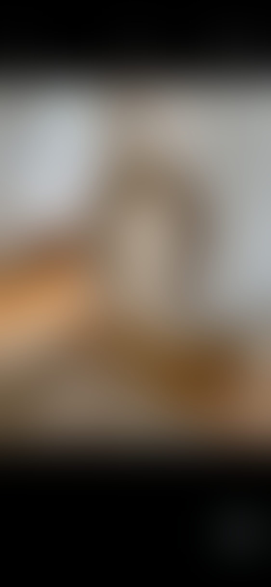 Eingereichtes Pelzstück – Beispiel 35 Bild 1