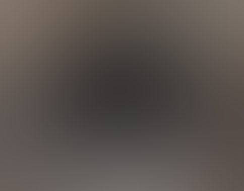 Eingereichtes Pelzstück – Beispiel 195.5 Bild 1
